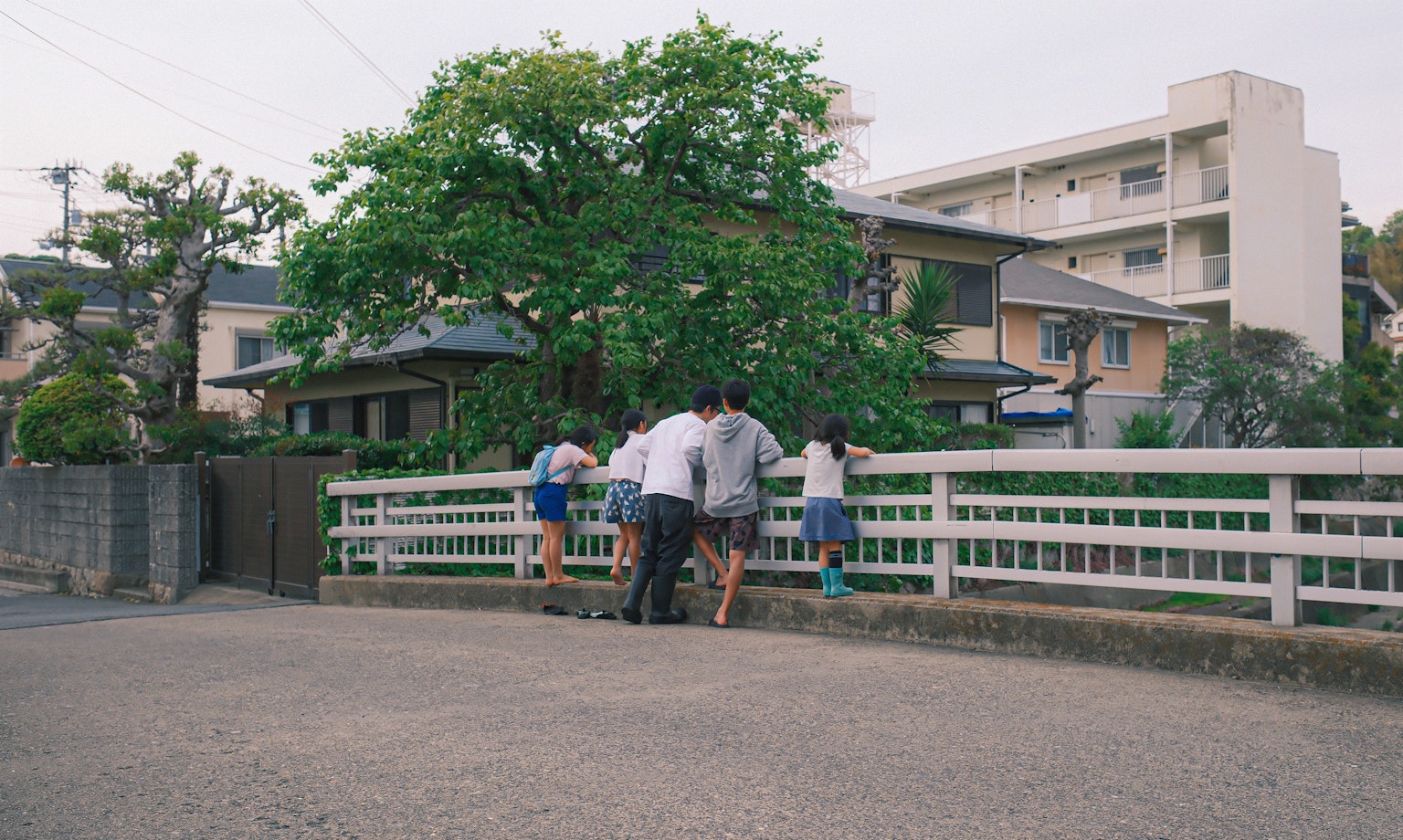 孩子們靠在河邊的圍欄上綠色樹木和房屋在背景中