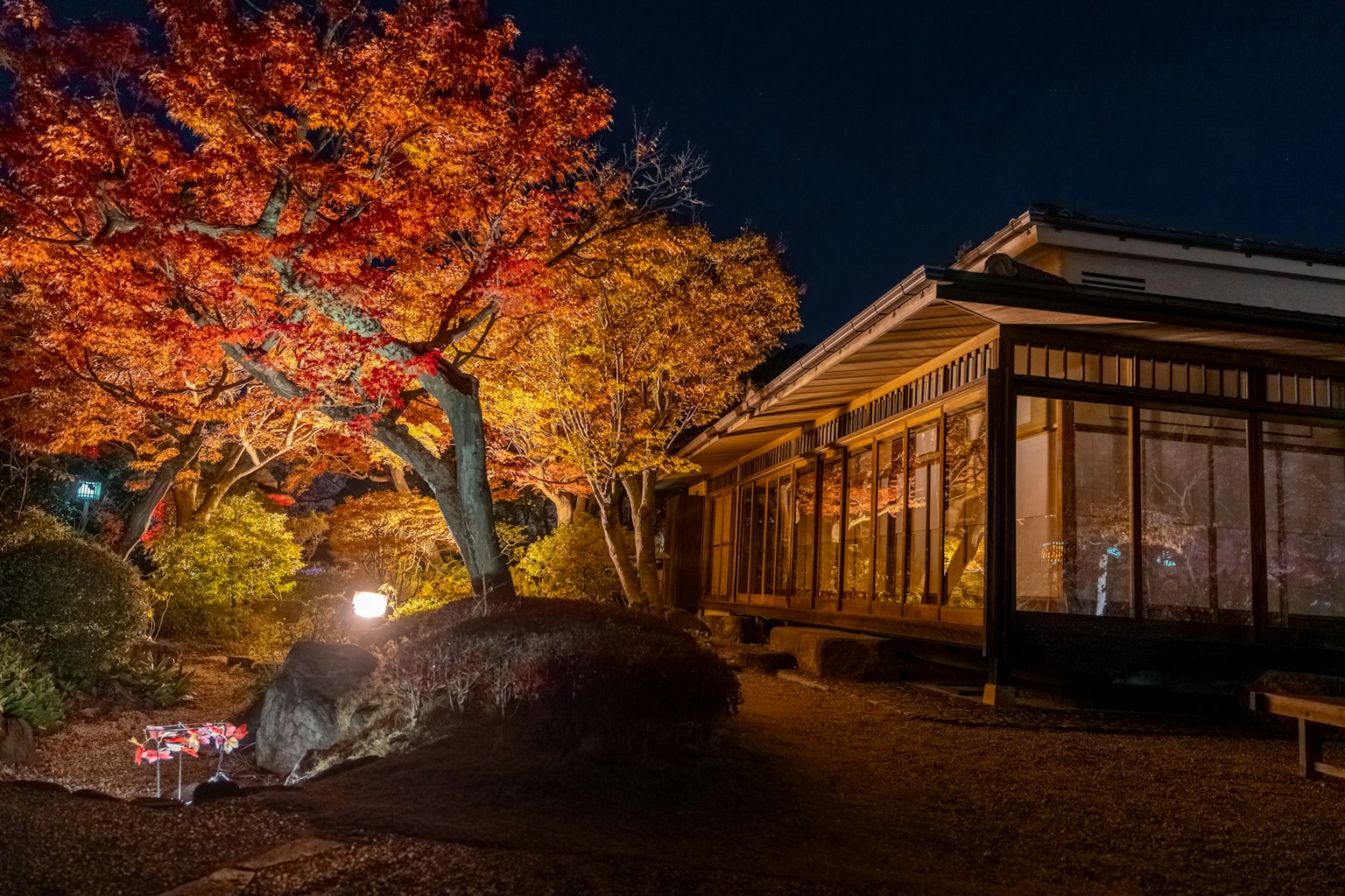 夜间日本庭院，秋叶和传统建筑的照明