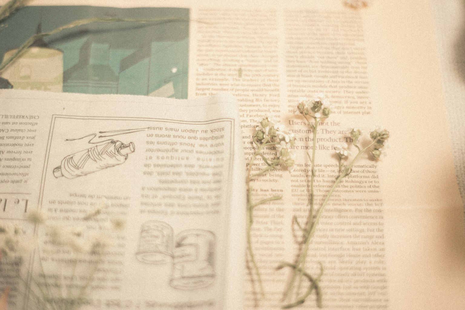 Eine ruhige Szene mit einer Zeitungsseite und getrockneten Blumen zusammen angeordnet