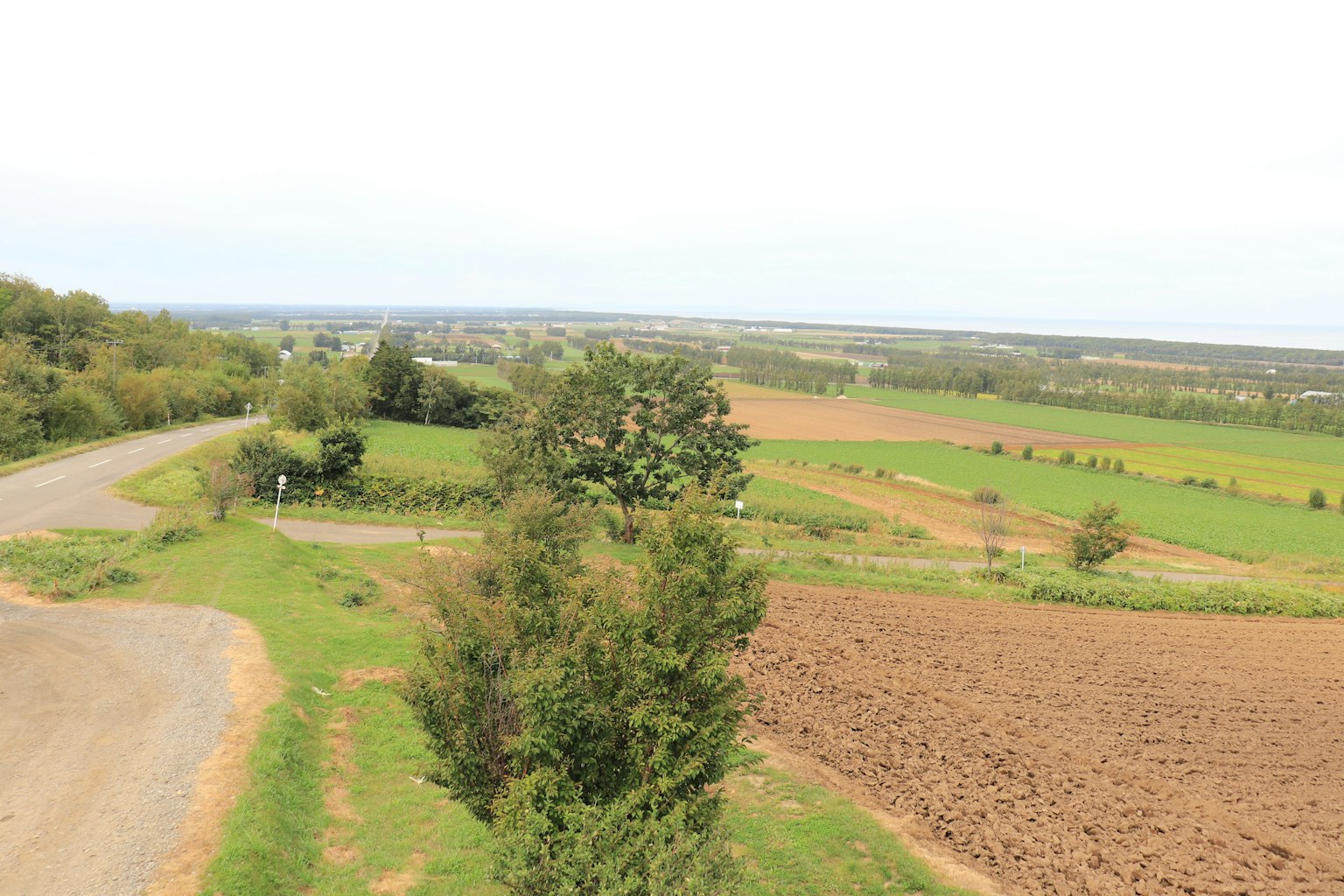 Paysage de terres agricoles verdoyantes et de routes sinueuses