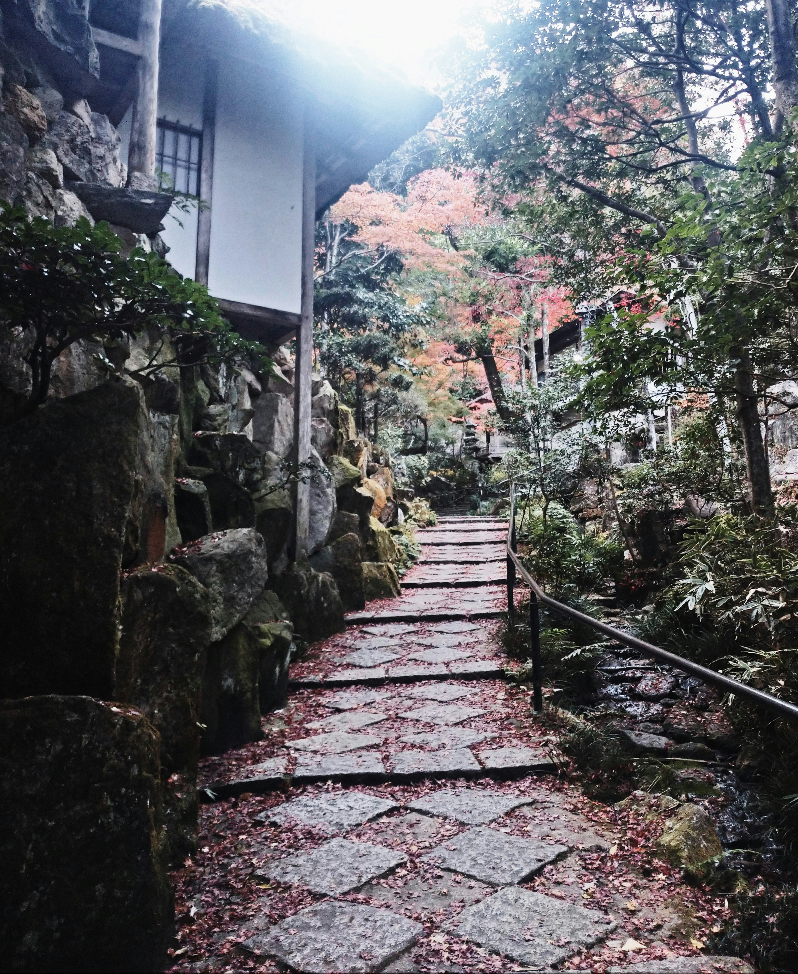石畳の小道と苔むす石垣のある山の庭園