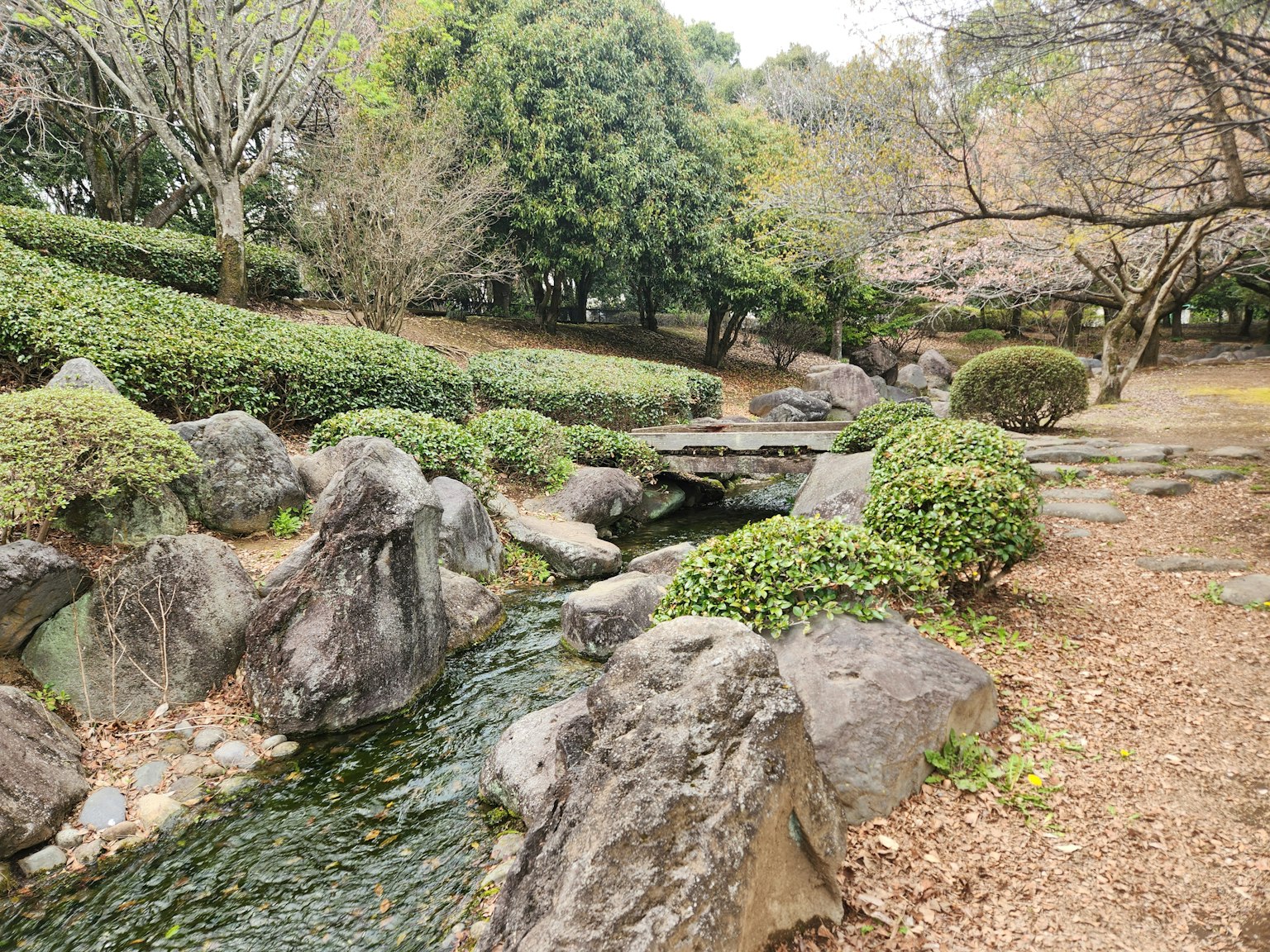 Tranquil park scene featuring a stream and rocks