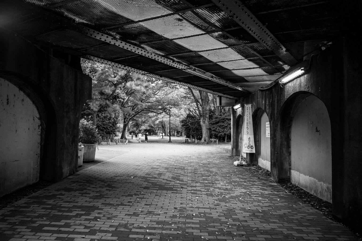 Vista en blanco y negro de un túnel arqueado en un parque