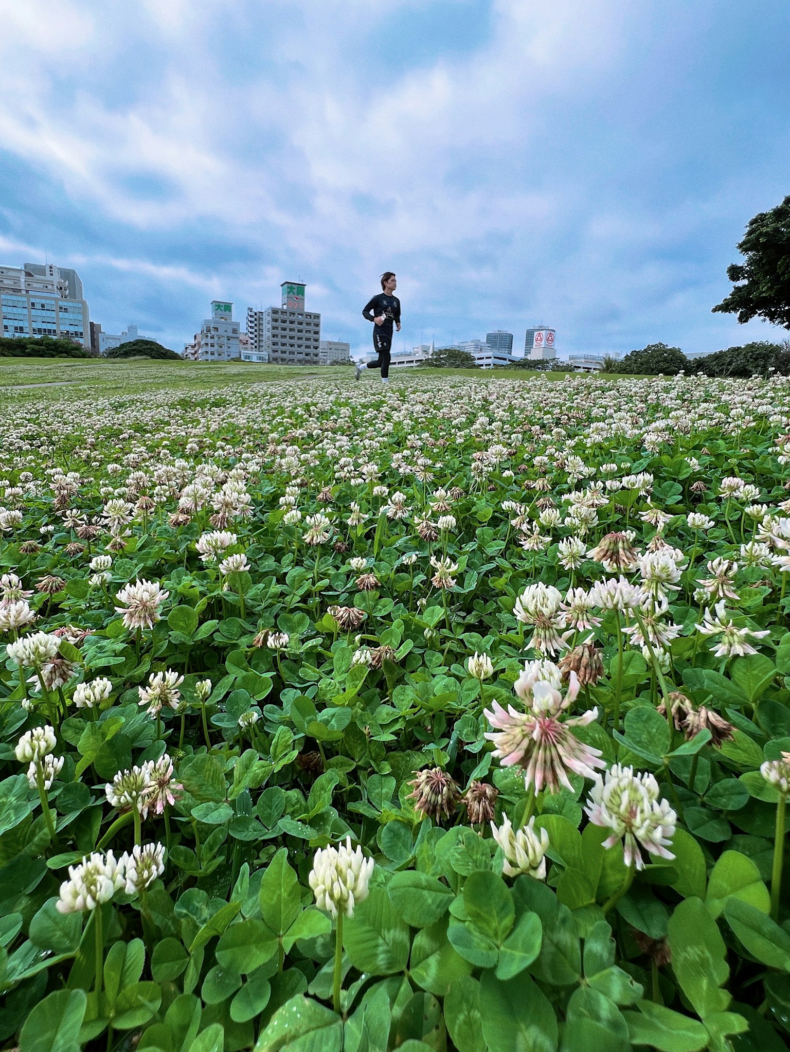 คนที่วิ่งผ่านทุ่งดอกไม้โคลเวอร์สีขาวใต้ท้องฟ้าสีฟ้า