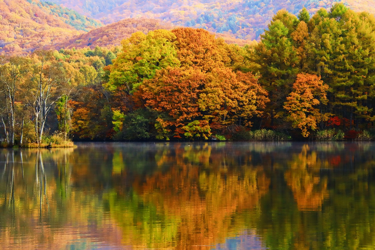 아름다운 가을 풍경, 호수에 비치는 다채로운 나무들