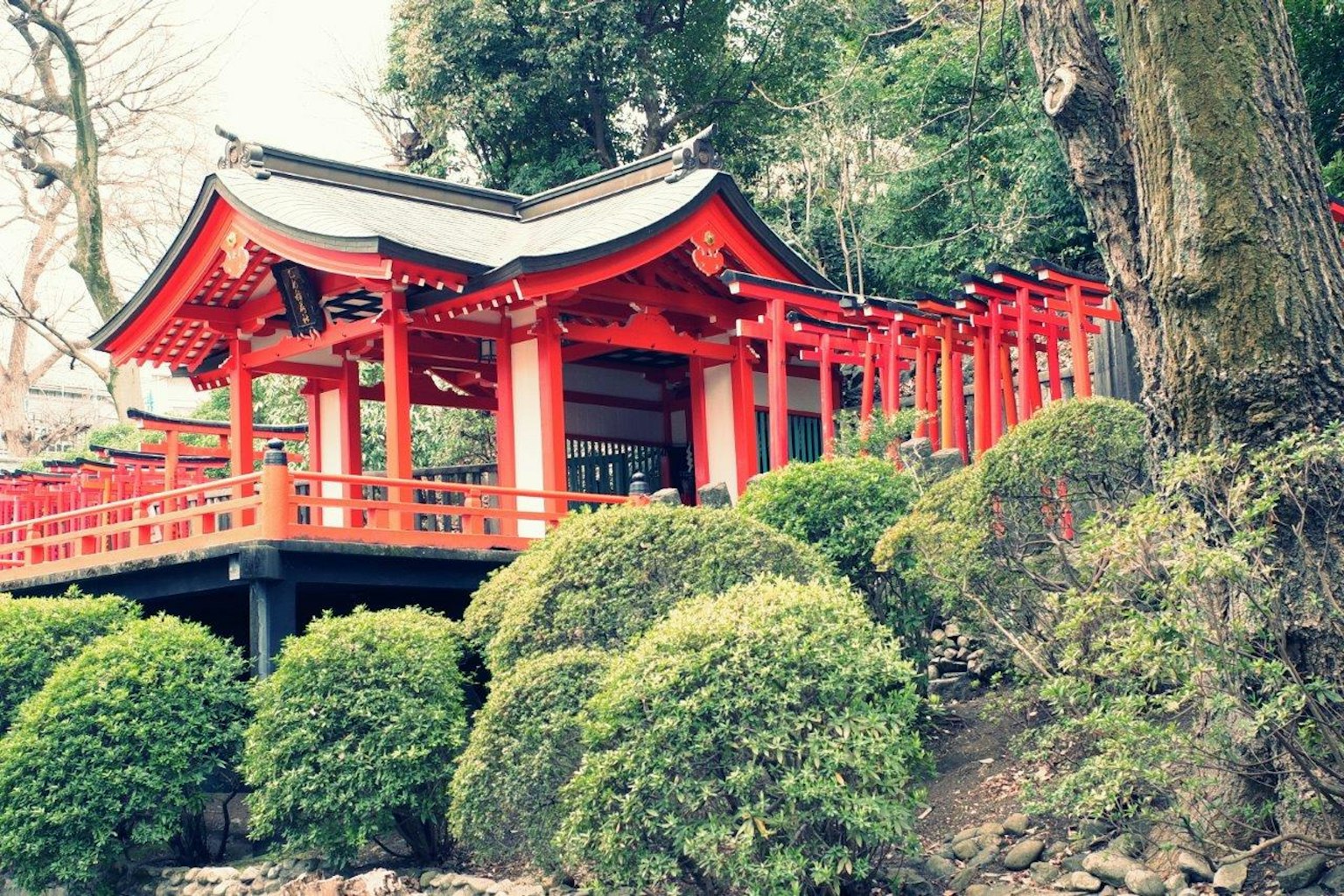 被茂盛綠色灌木包圍的紅色神社建築