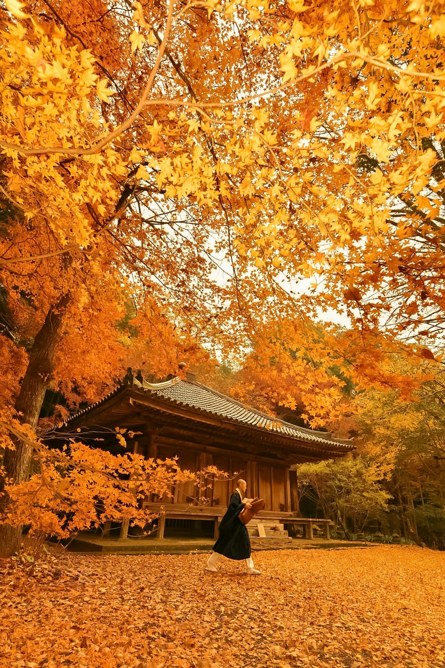 秋の紅葉に囲まれた伝統的な日本の建物と女性
