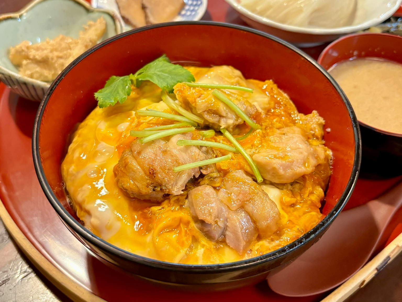 一碗雞肉和雞蛋的菜餚，上面點綴著蔥