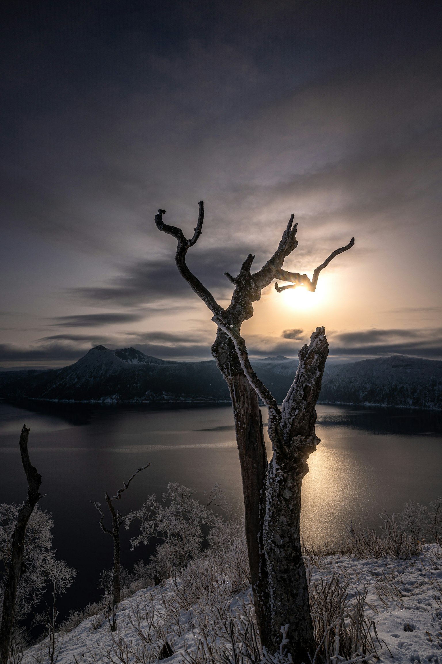 Kahlbaum silhouettiert gegen einen Sonnenuntergang über einem verschneiten See