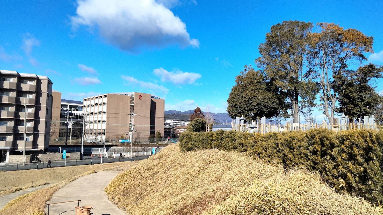 風景如畫的藍天和雲朵，伴隨著住宅建築和綠色樹木