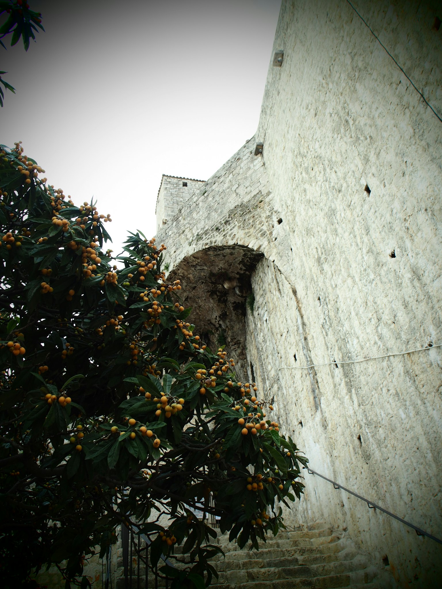 Eine Ansicht einer alten Steinmauer mit einem Baum mit orangefarbenen Früchten