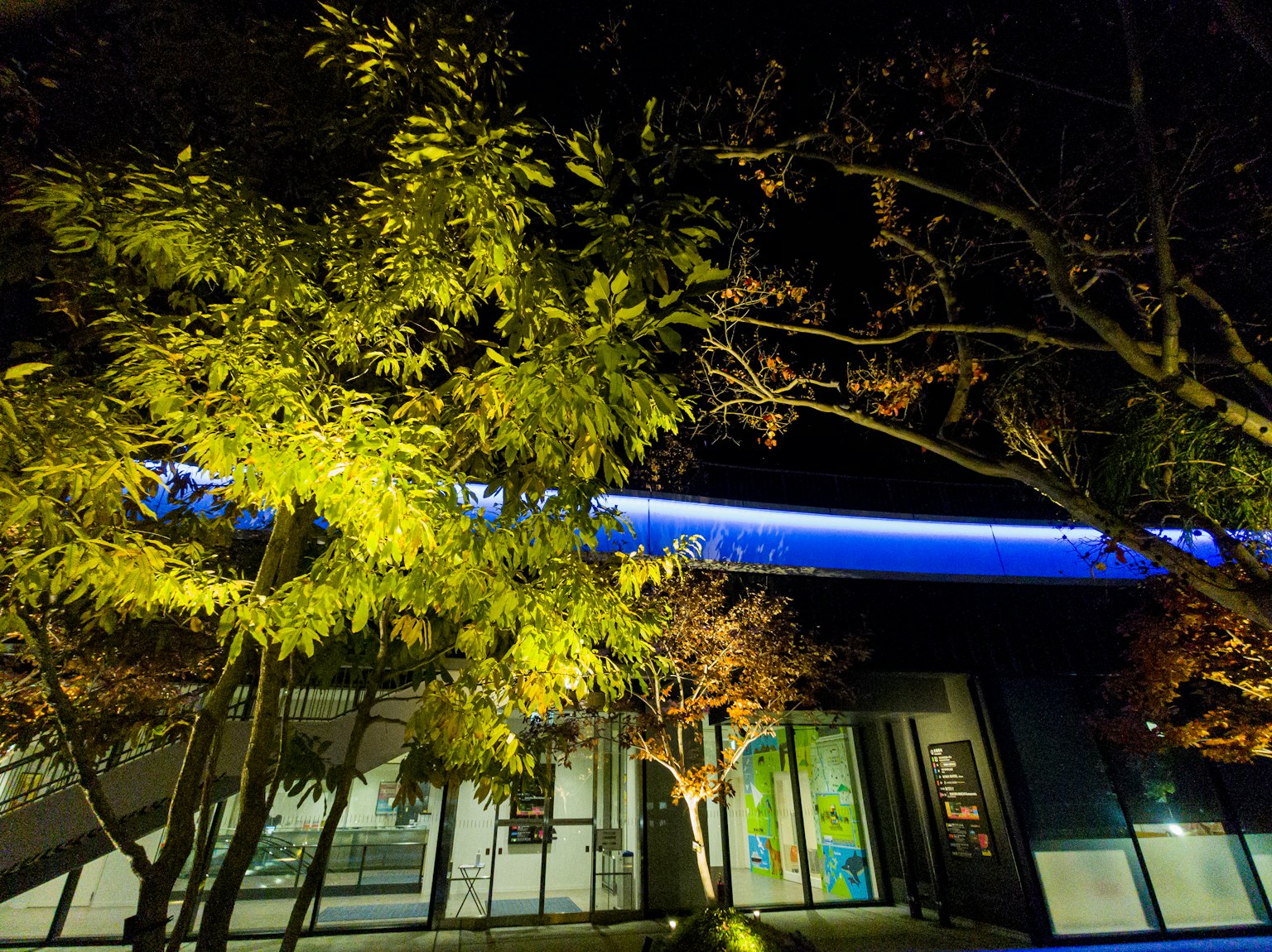 Night scene with illuminated green trees and a building featuring blue lights