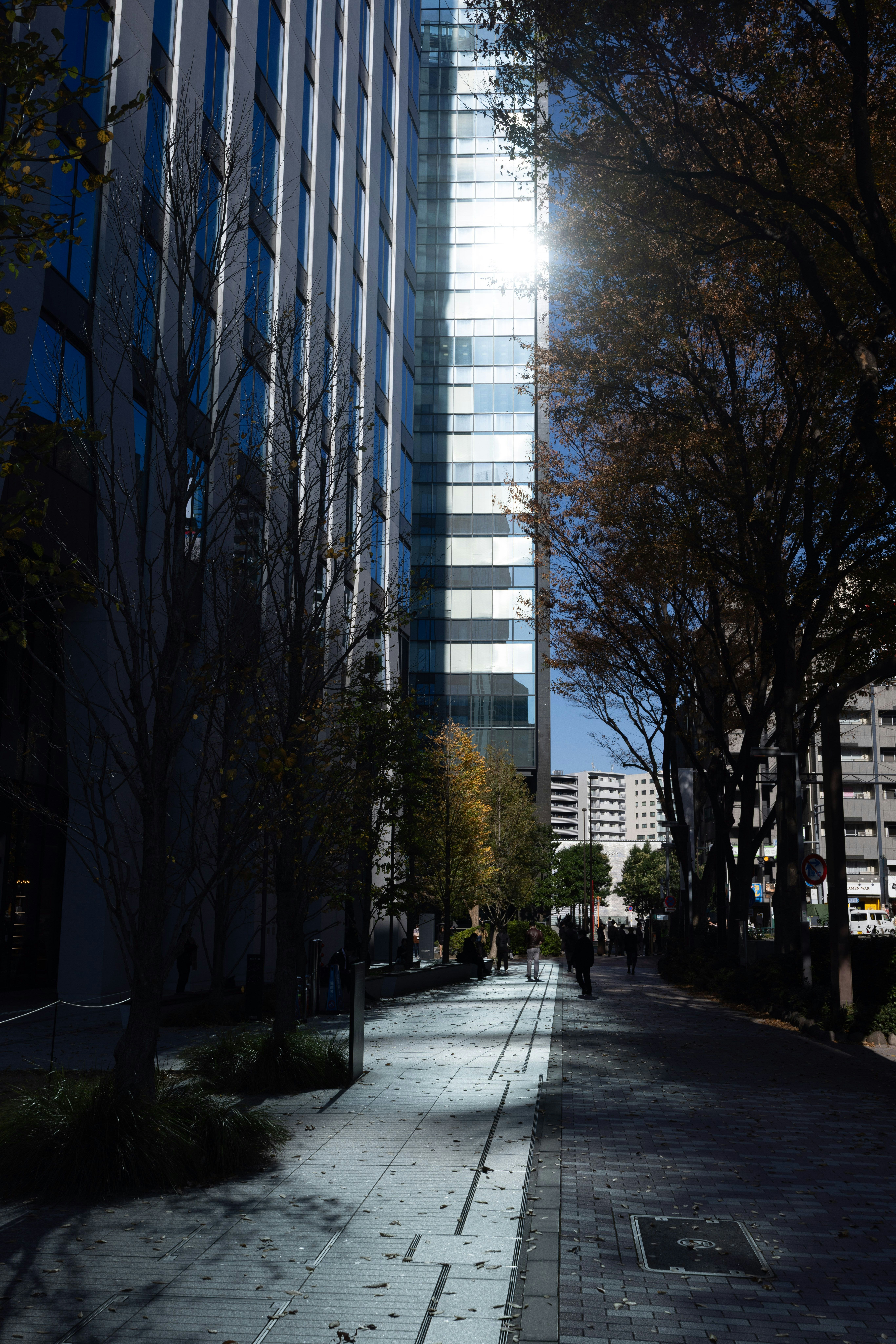 高層ビルの間に伸びる街路の朝の光