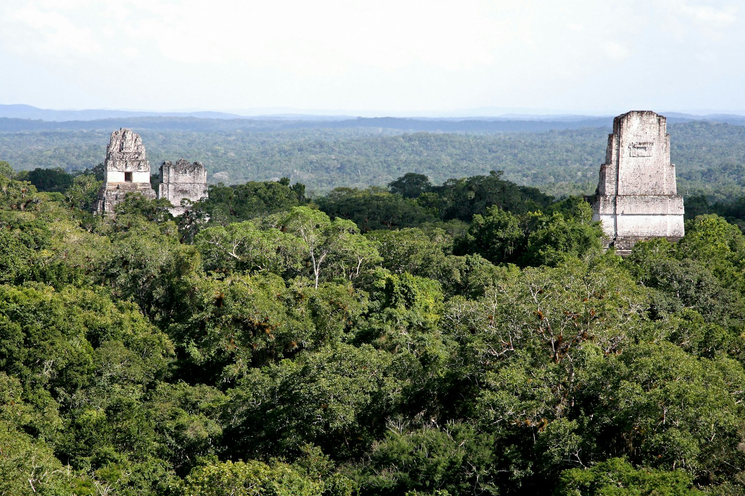 ซากโบราณสถานที่ถูกล้อมรอบด้วยป่าทึบ