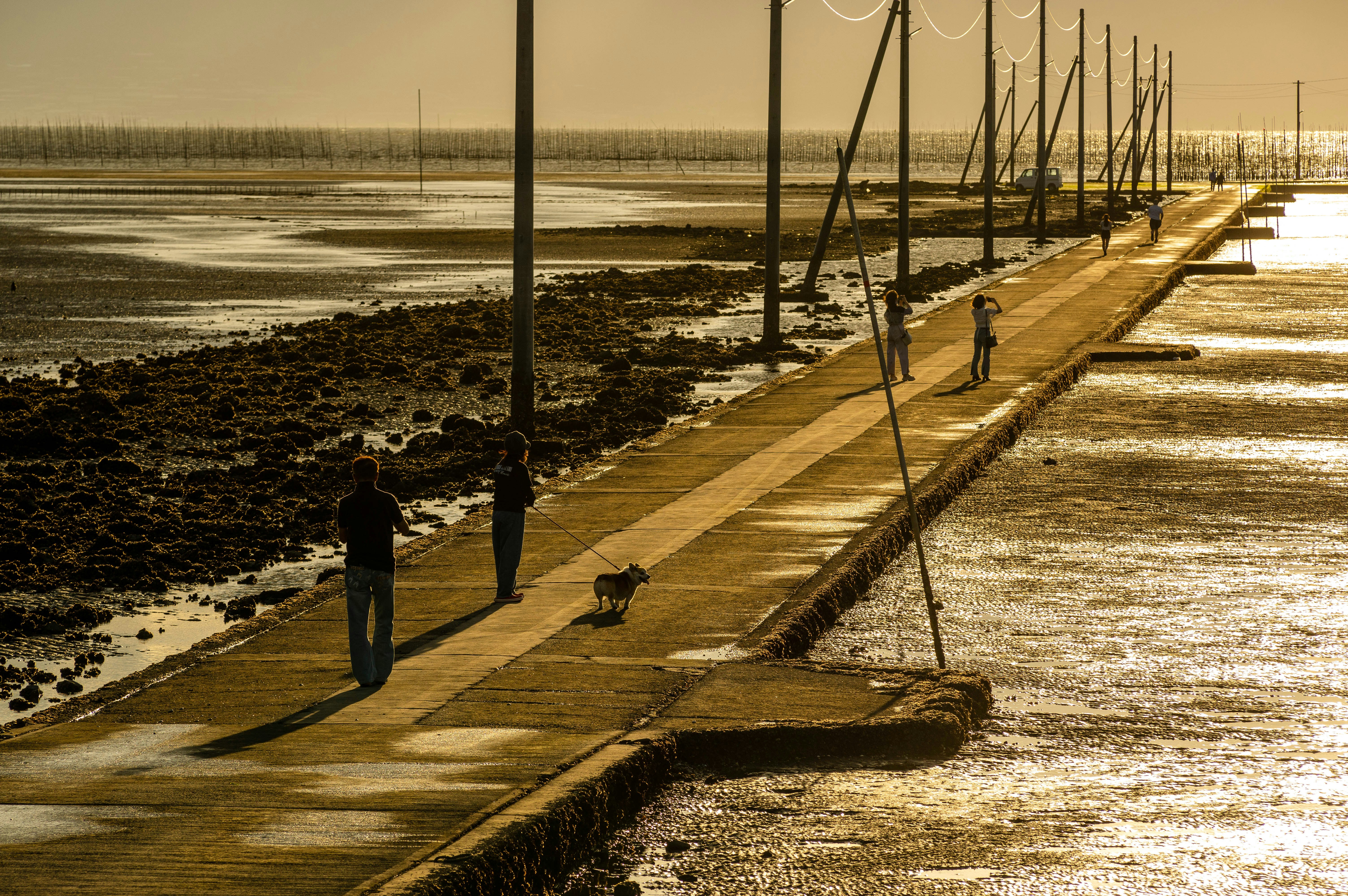 sunset landscape of a boardwalk over tidal flats with people and birds