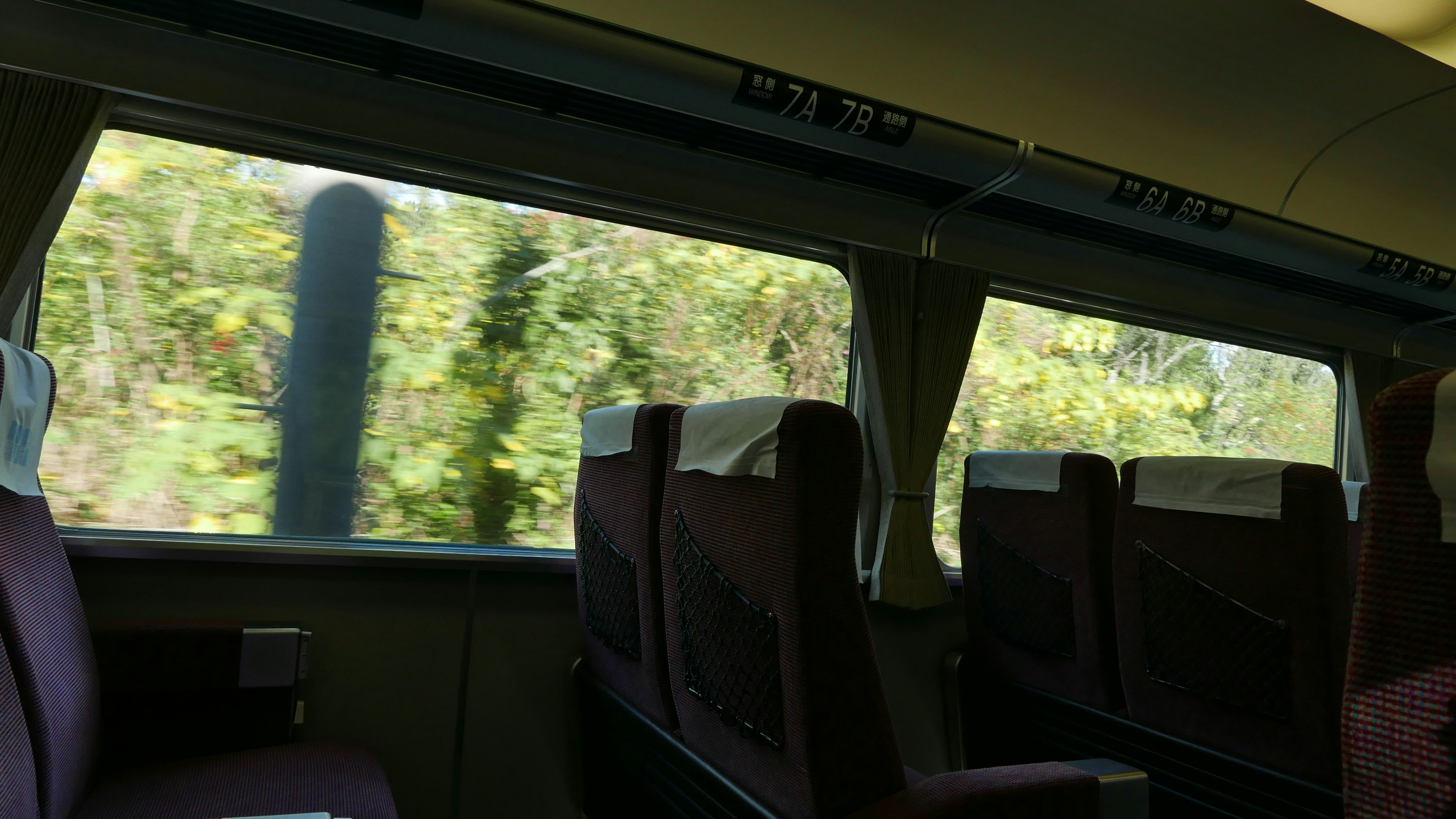 車内から見える窓外の緑の風景と走行中の景色