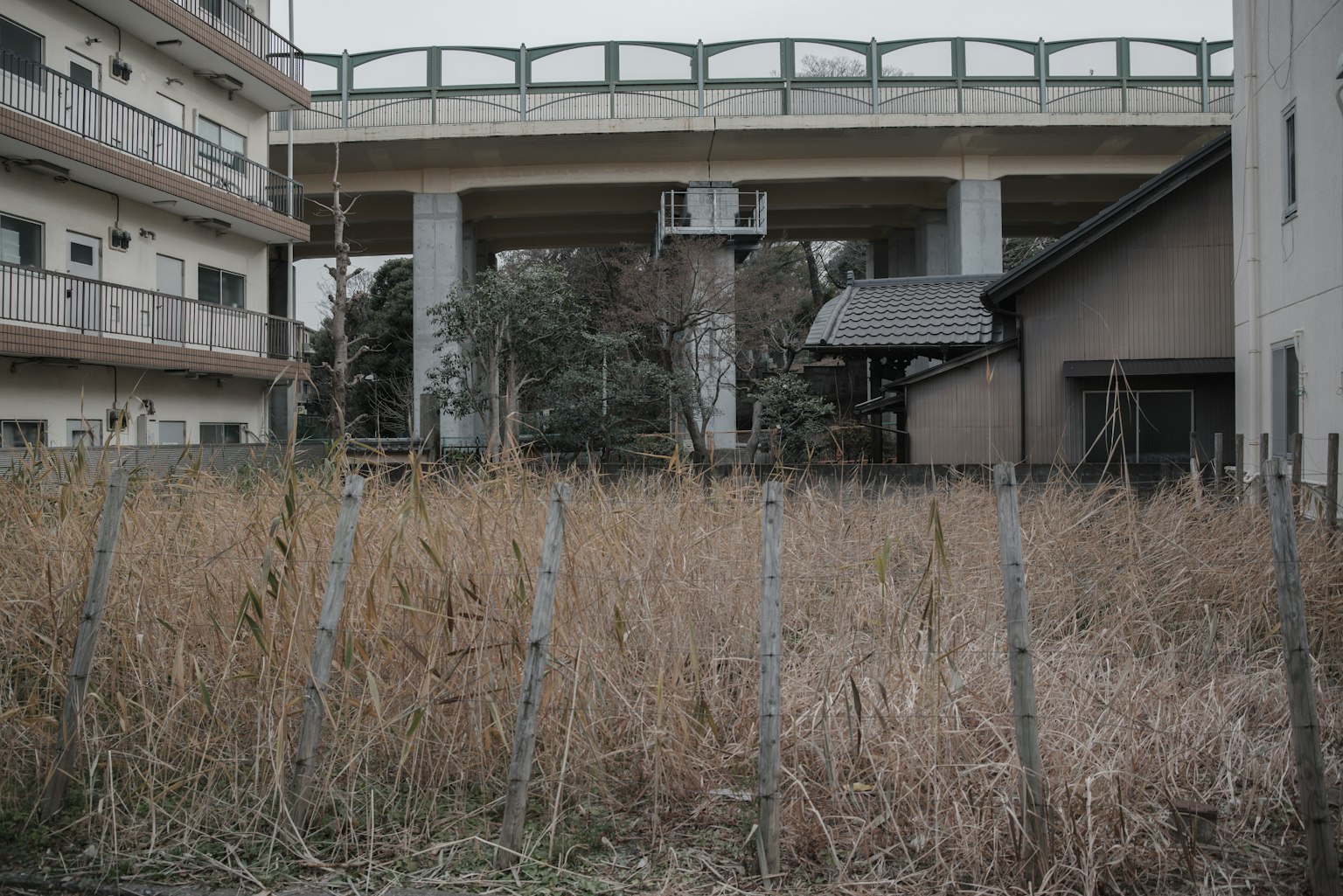 Terreno erboso incolto sotto una strada sopraelevata con edifici circostanti