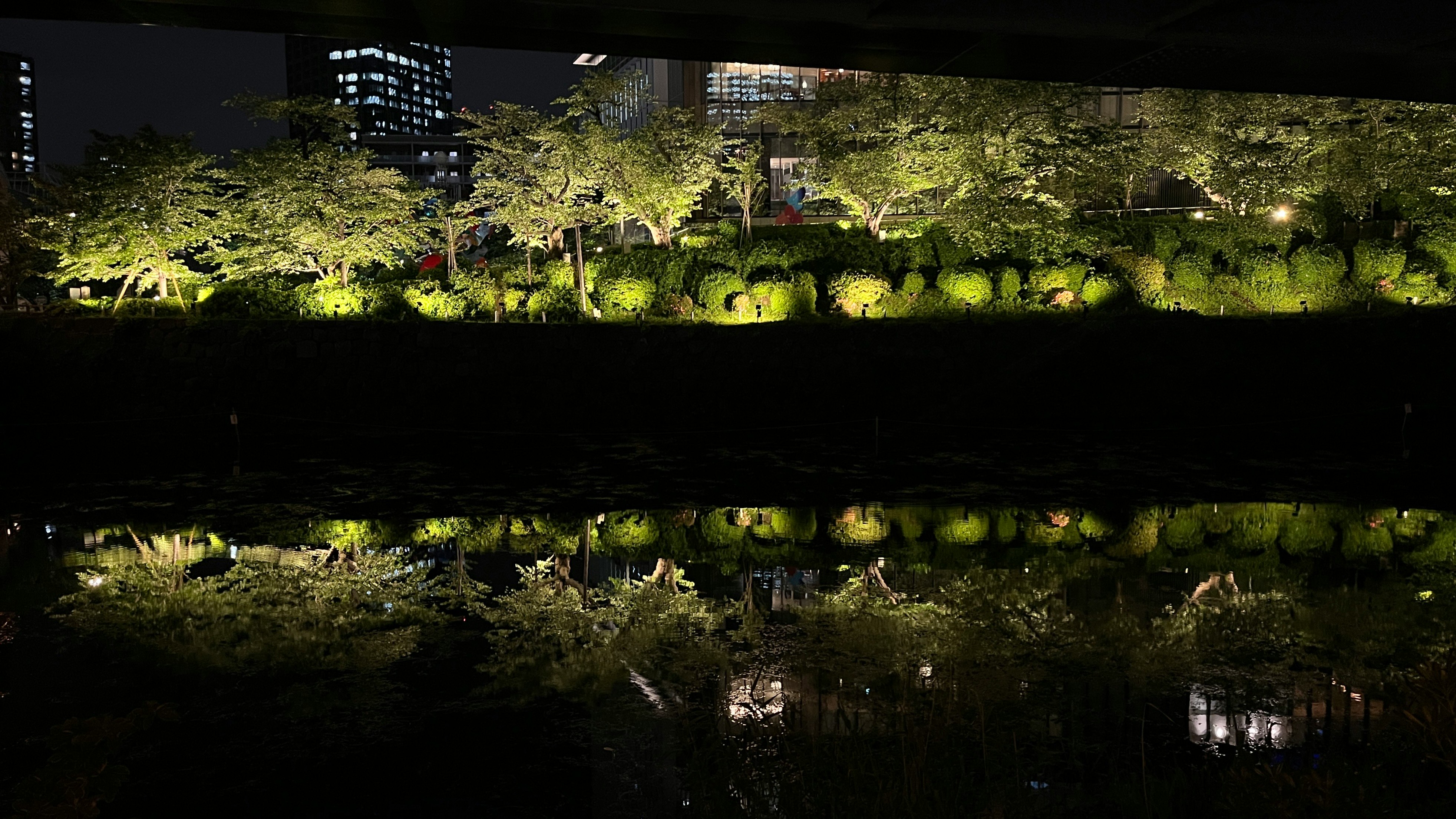 紀尾井町の弁慶濠に映る夜桜の並木