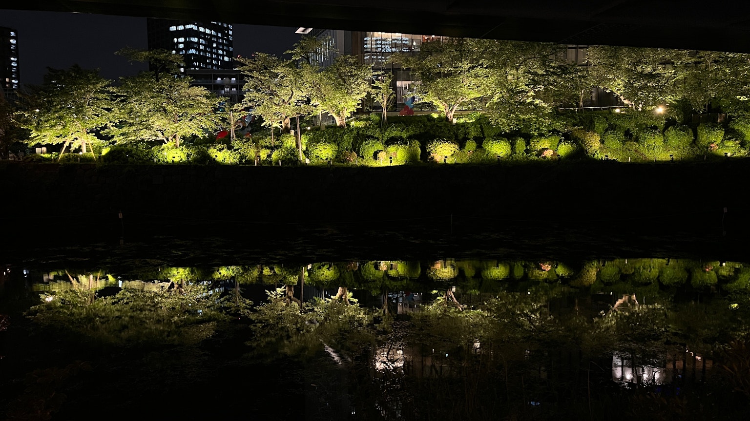 Beautiful night view of green trees in a park reflecting on the water