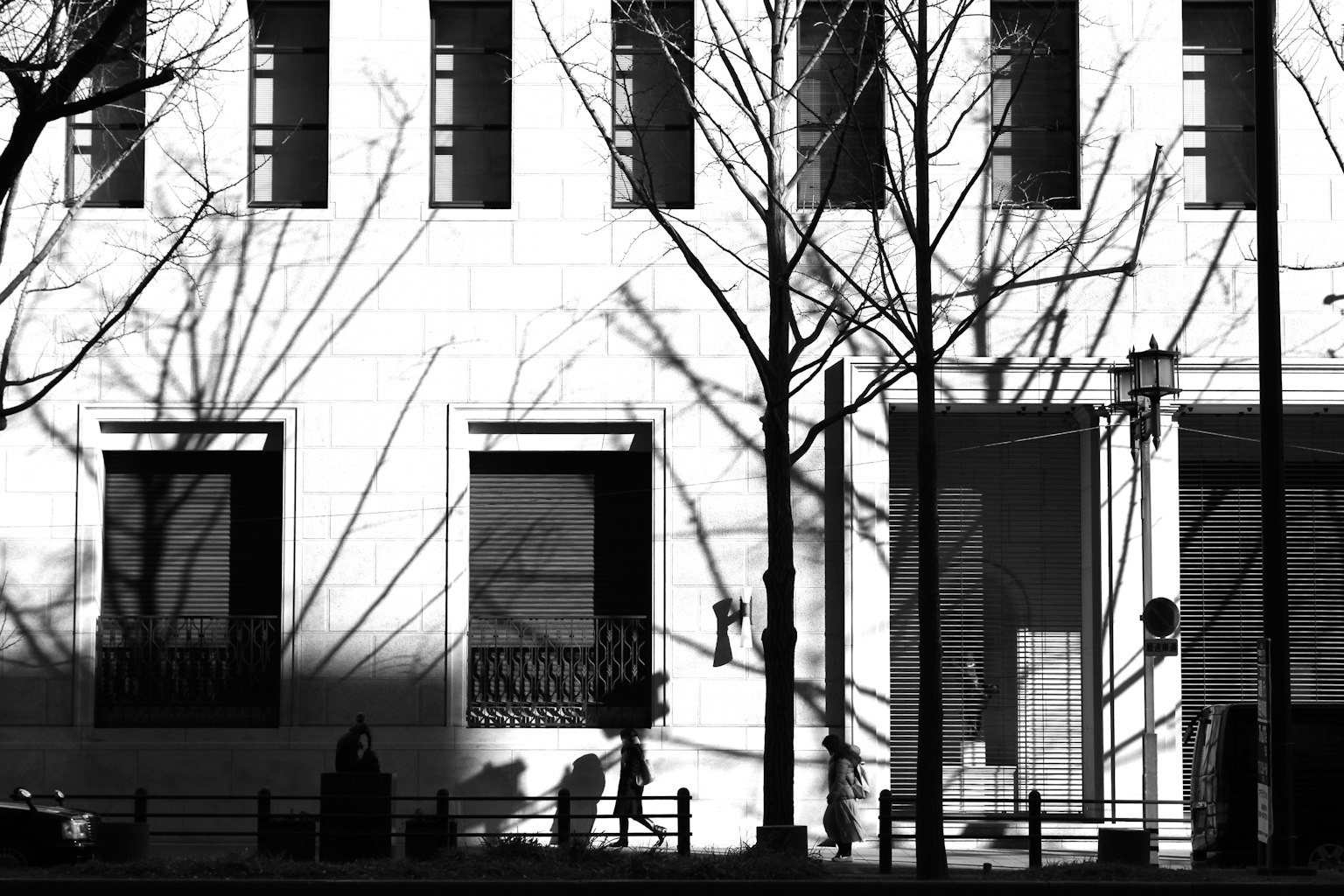 Black and white image of a building with tree shadows