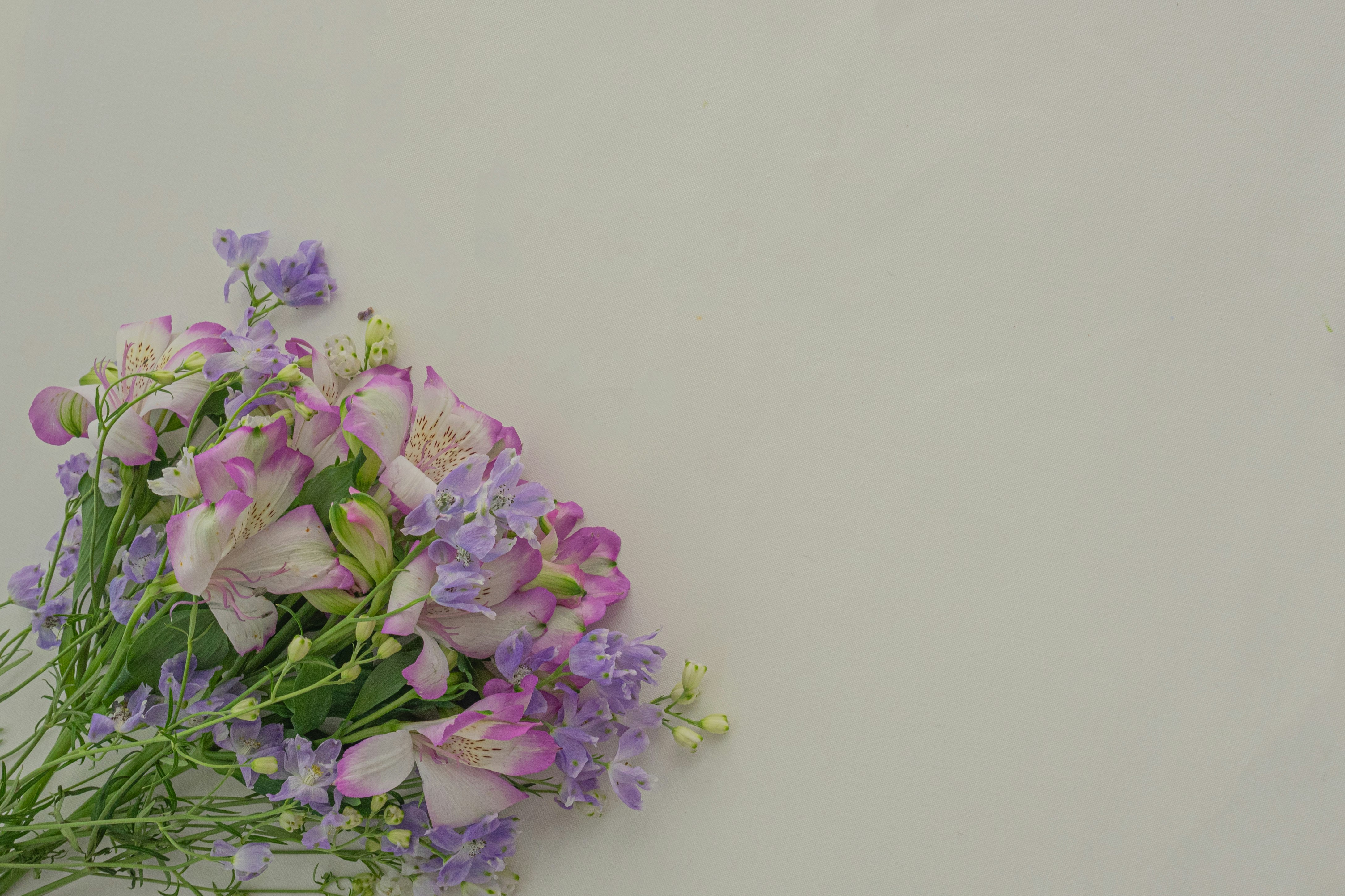 Un ramo de flores coloridas sobre un fondo suave