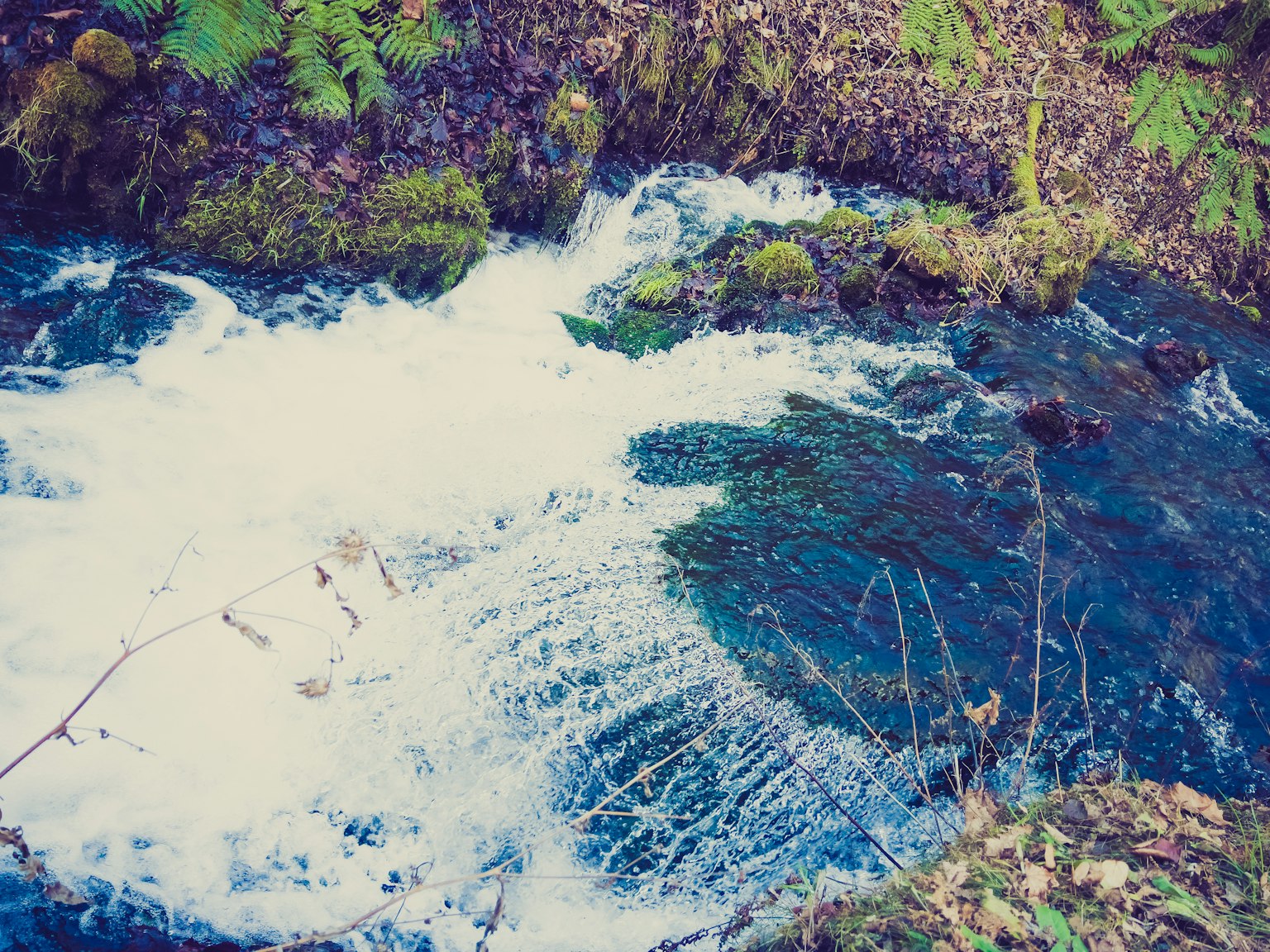 Ruisseau clair coulant entre des rochers recouverts de mousse avec de la mousse blanche