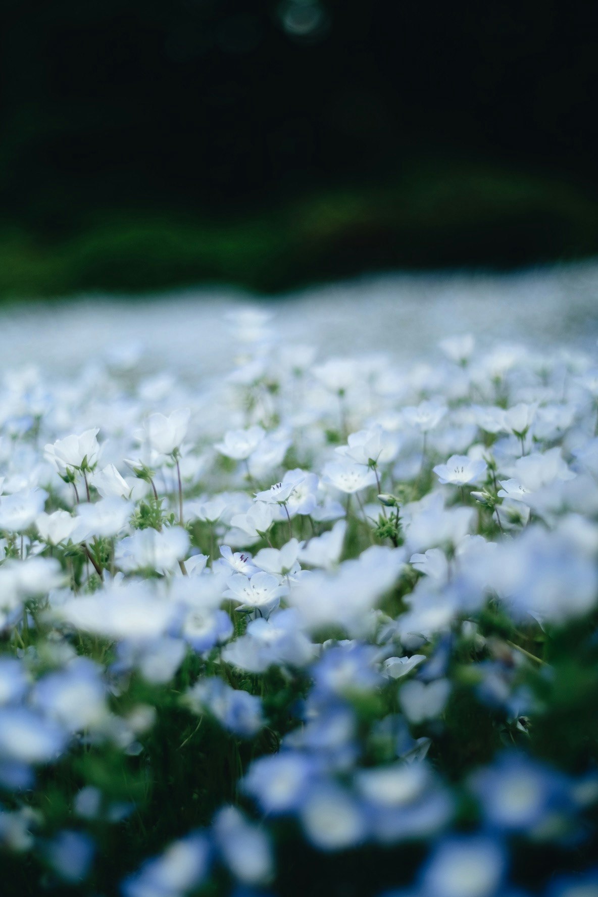 photo-itvjXgwF4i63zLaaZJRL-image