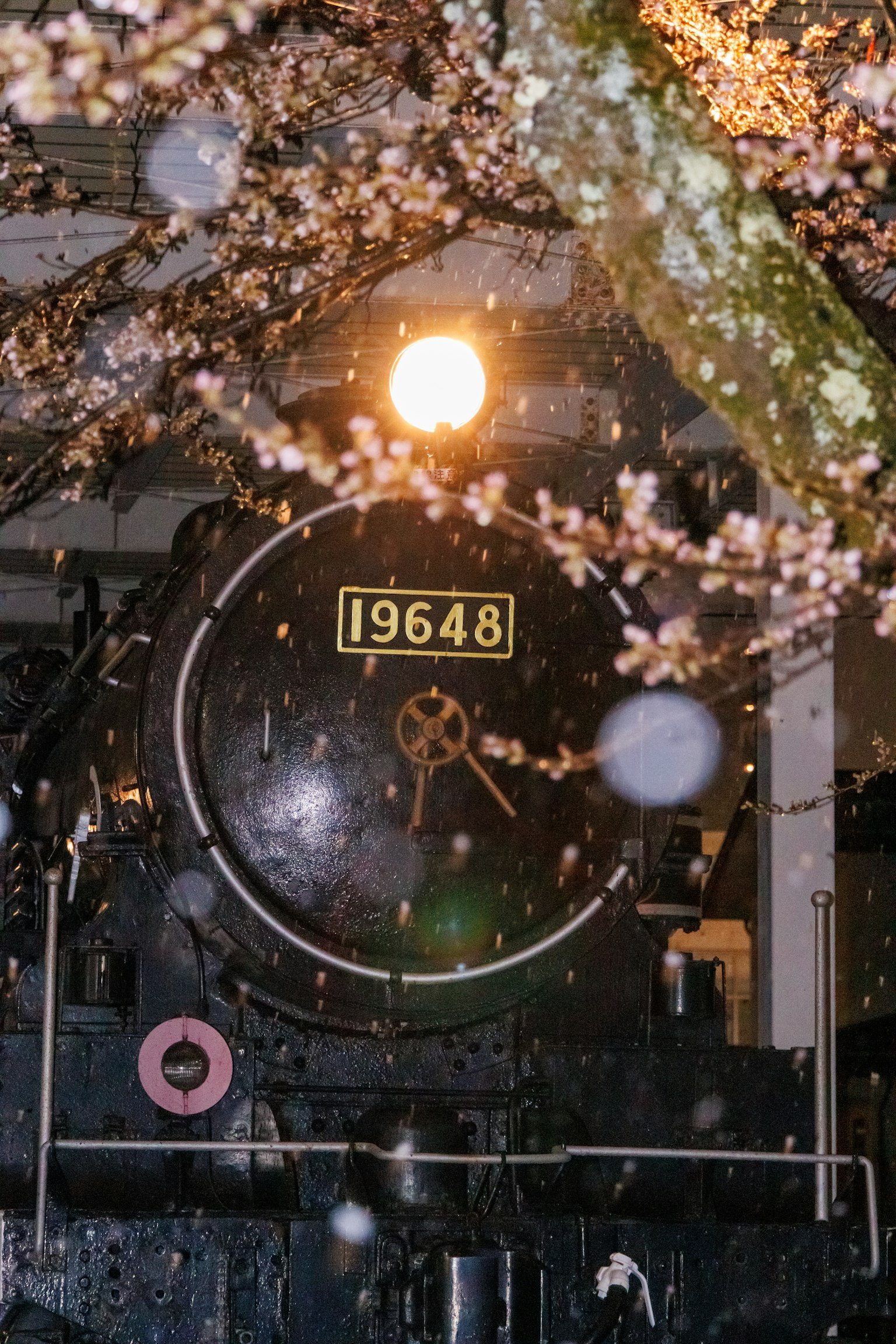 photo-iu61RebjGId5ieTQ1mde-image