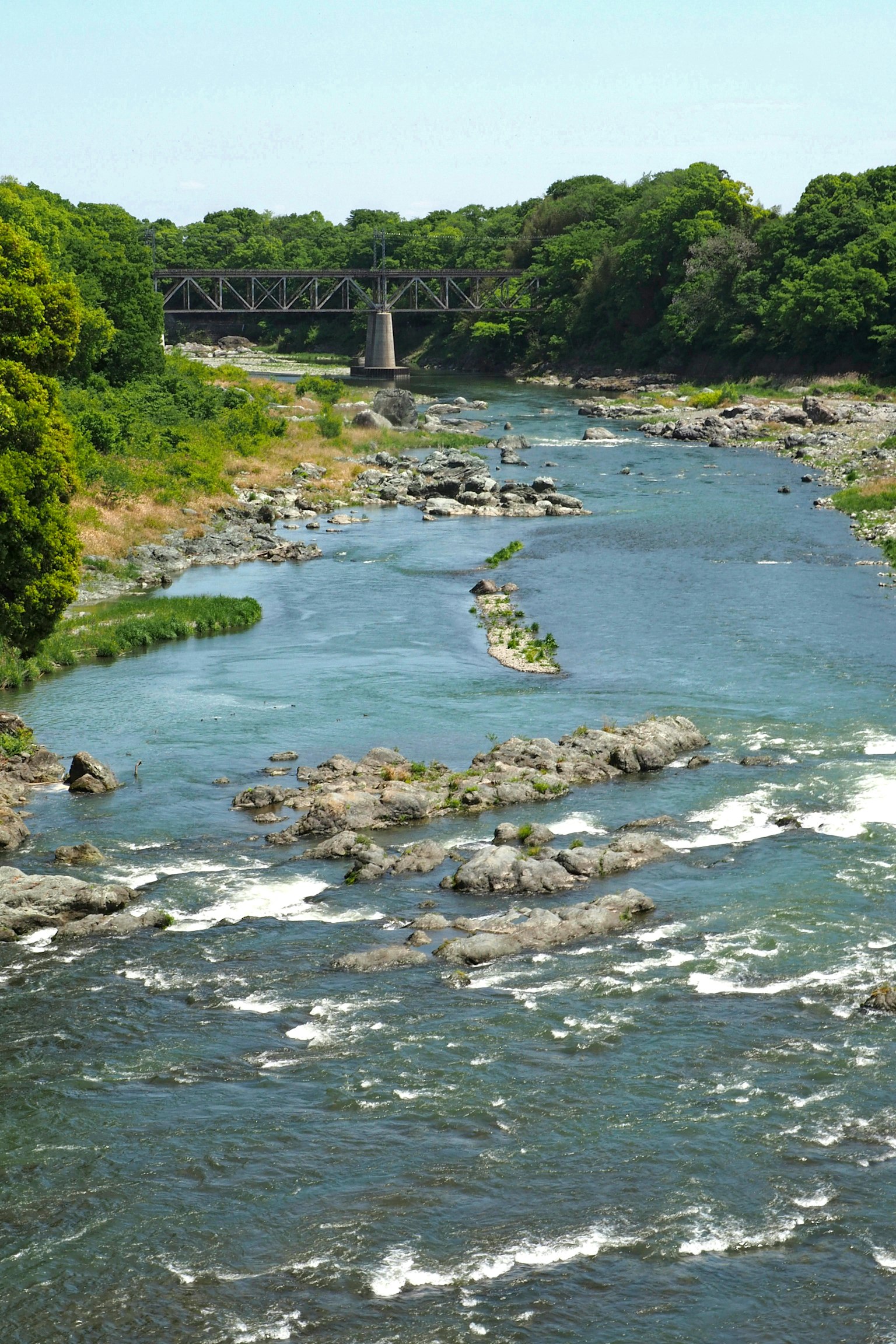 一條藍色河流的風景，有岩石和橋，四周綠樹成蔭