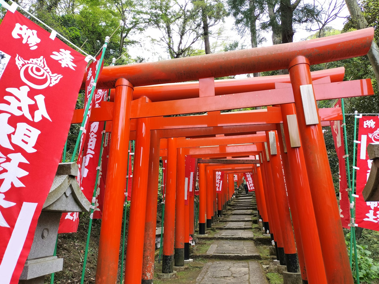 Con đường đầy cổng Torii đỏ và cờ đền