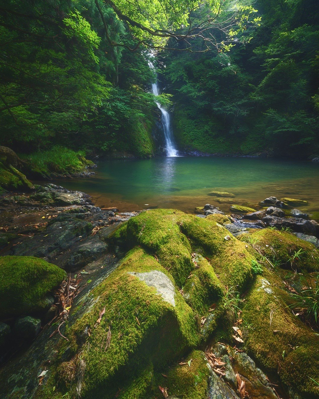 青緑の滝壺と苔むした岩の流れのある渓谷