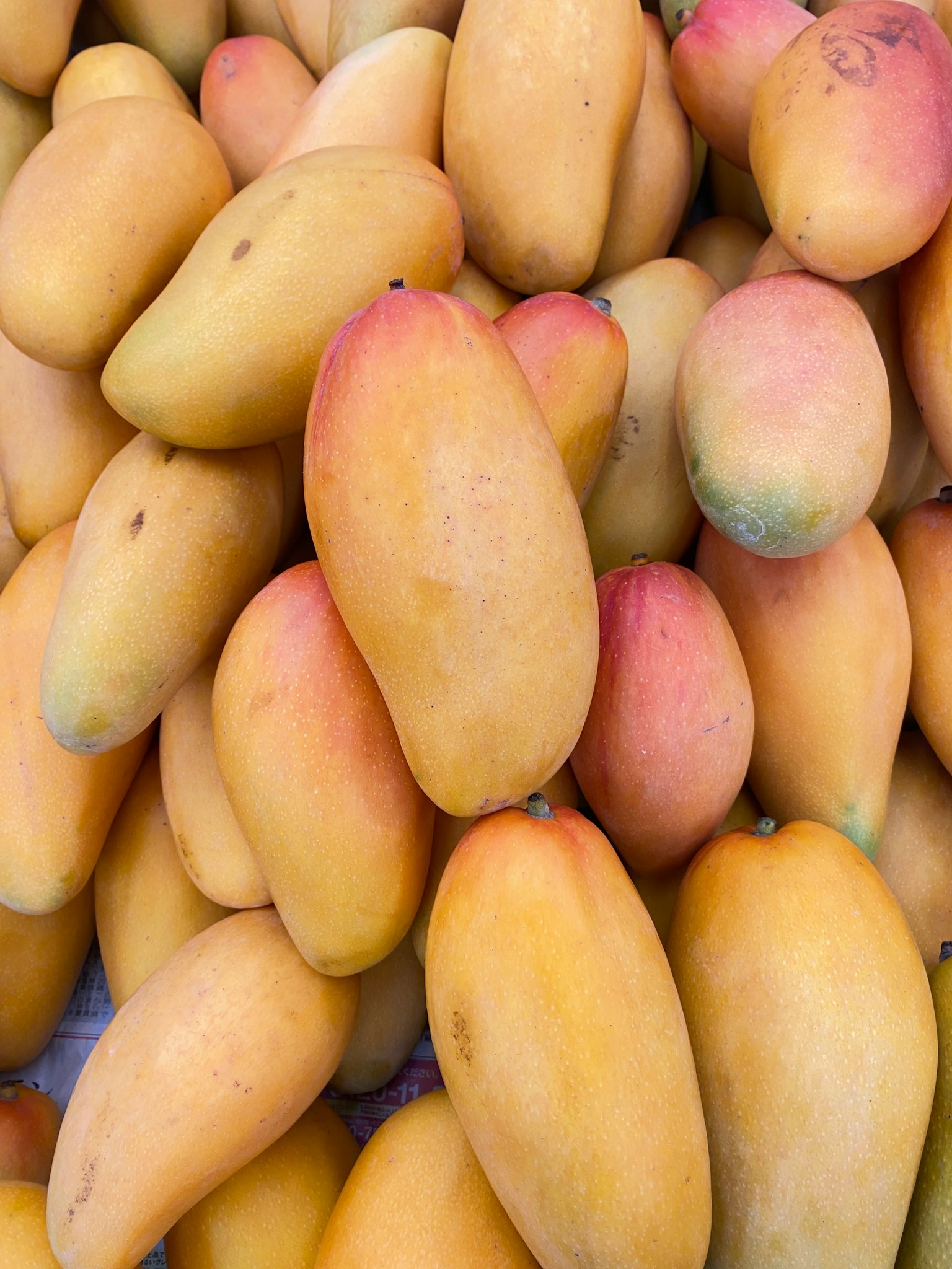 Gambar berbagai mangga matang yang ditumpuk bersama dengan warna-warna cerah