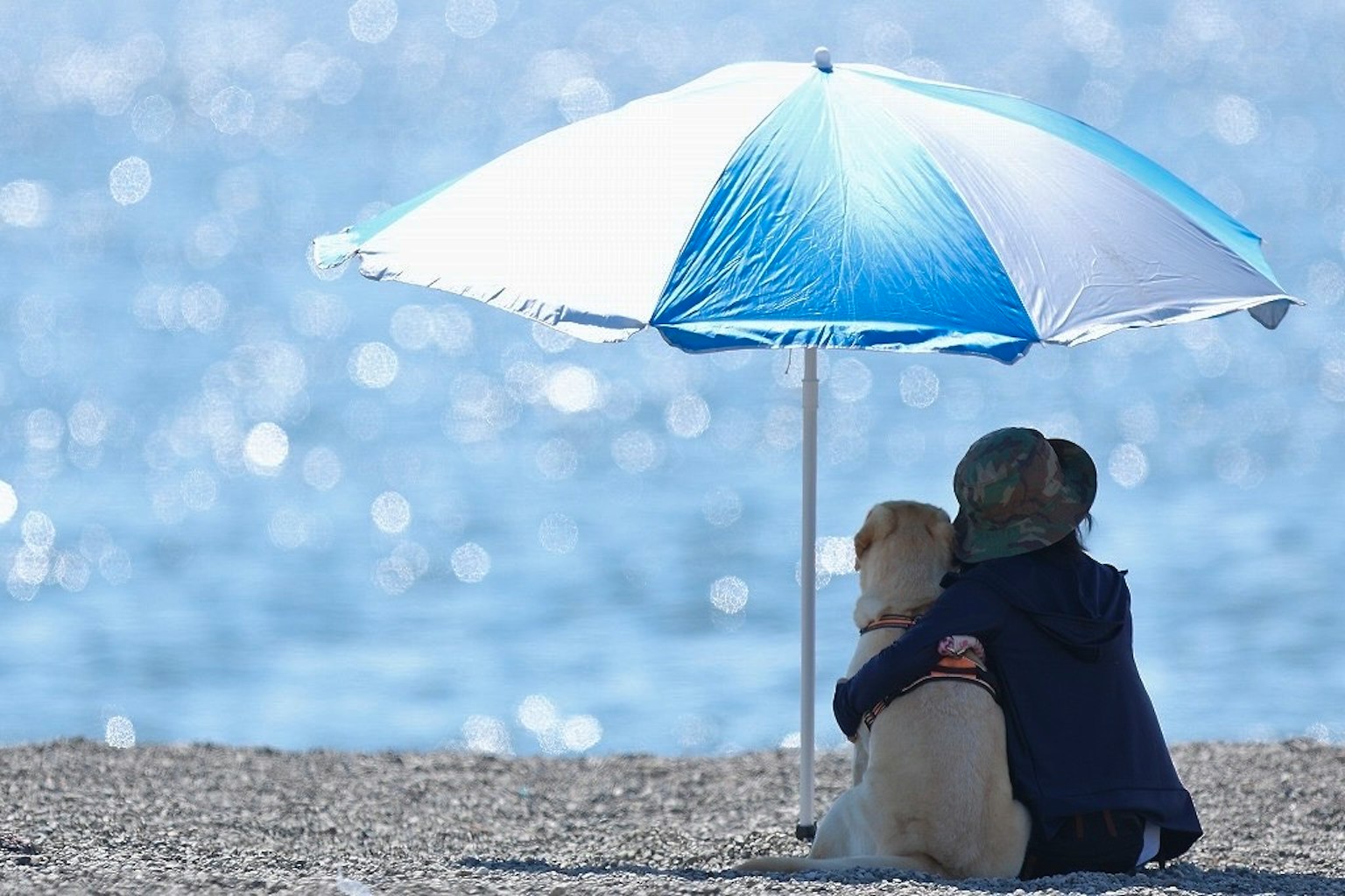 Bambino e cane seduti sotto un ombrello blu che guardano il mare