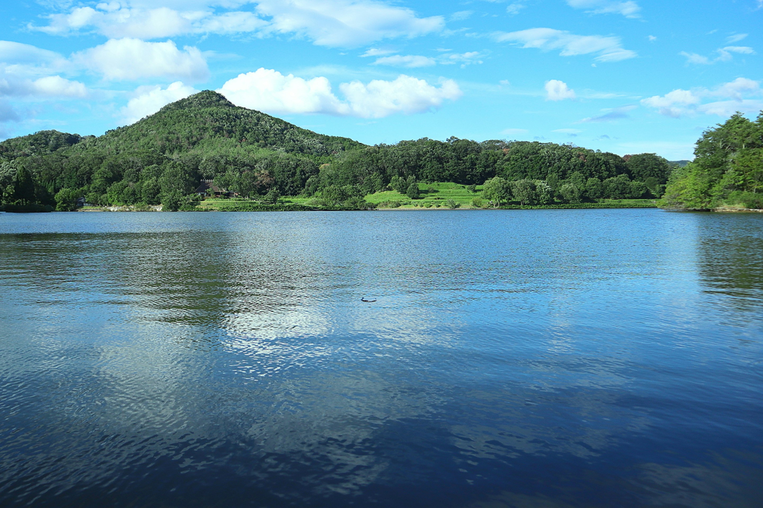 兵庫県三田市の山と池を望む自然風景