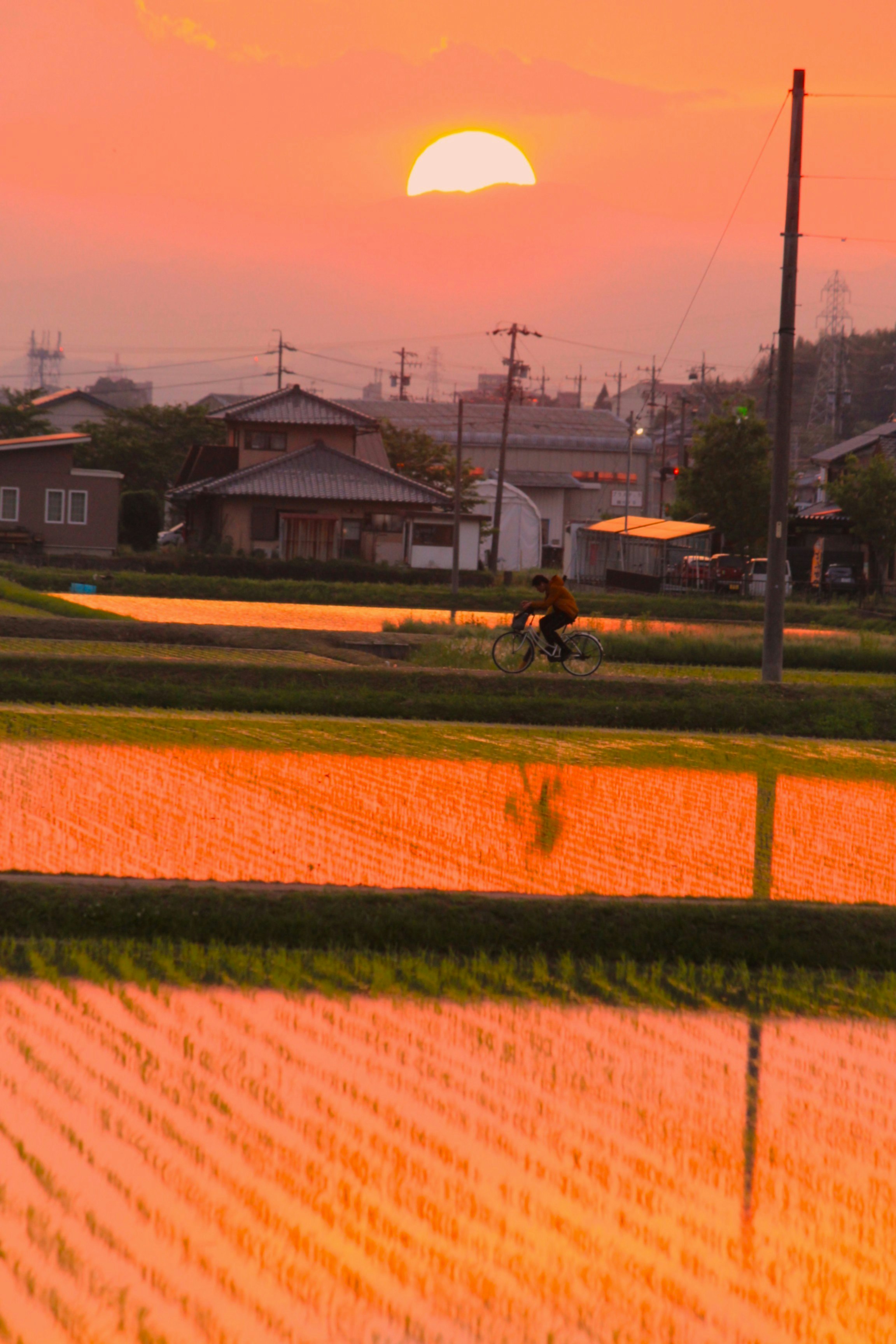 夕日に照らされた畑と田園の風景
