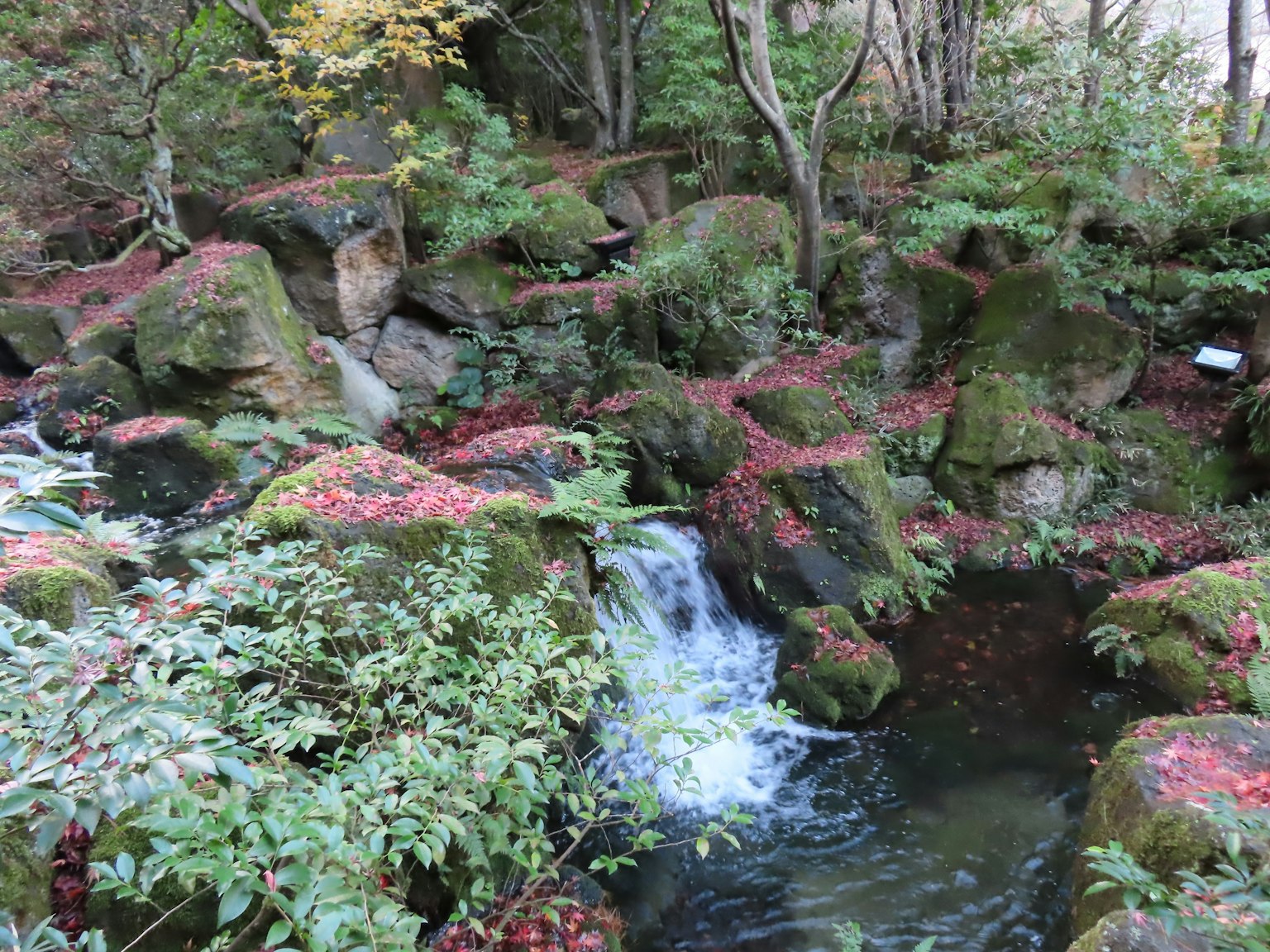 Una vista escénica de un arroyo que fluye entre rocas cubiertas de musgo rodeadas de vegetación