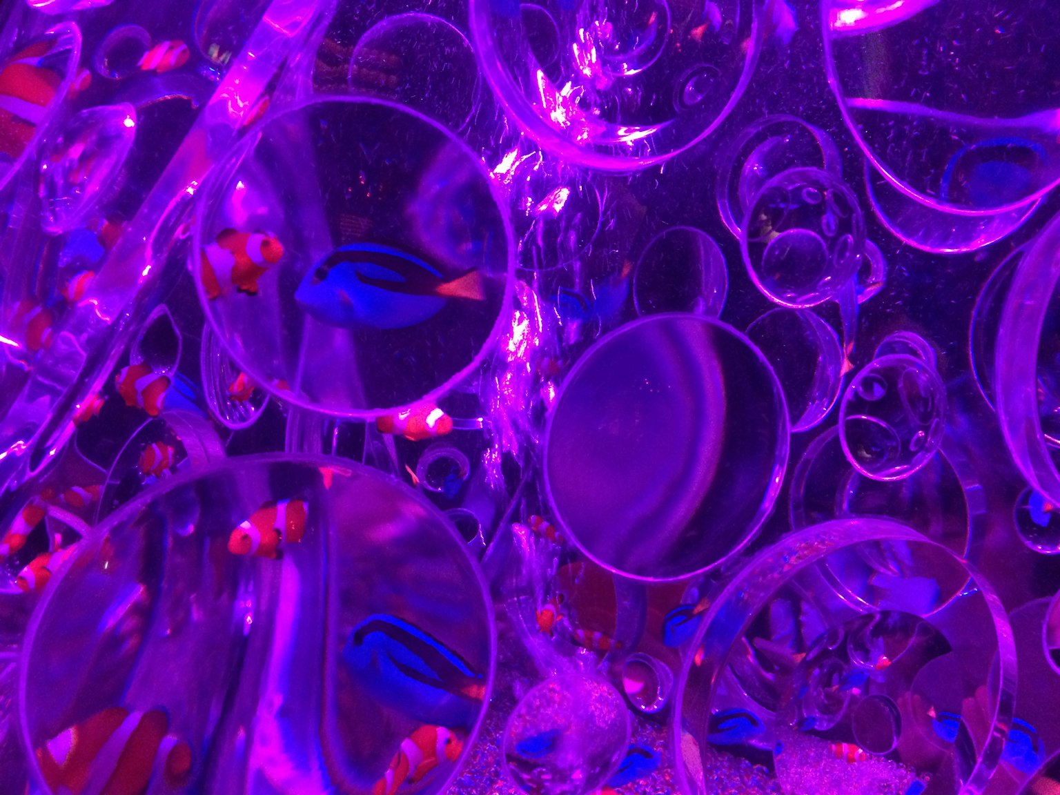 紫色气泡中游动的小鱼的图像