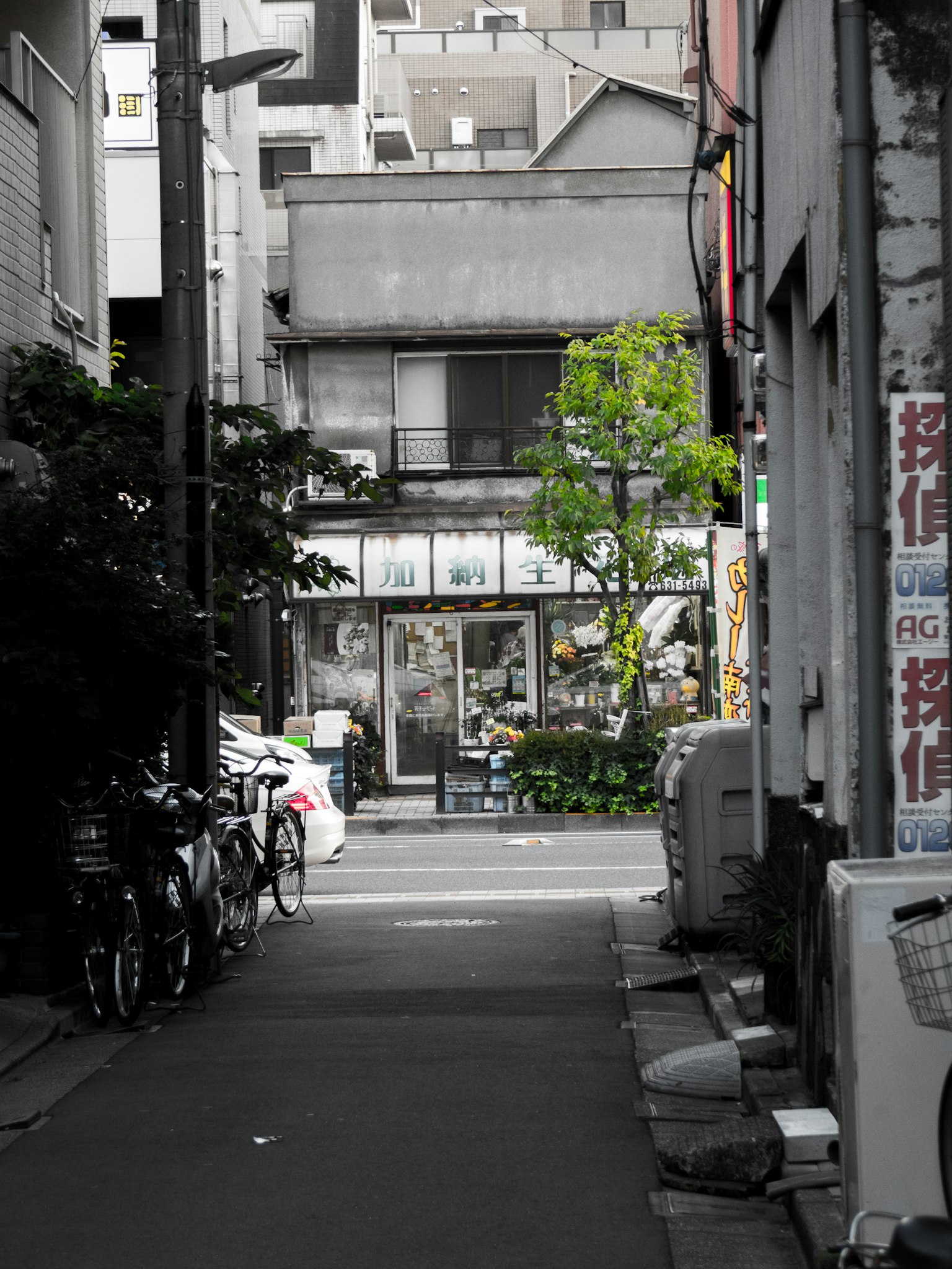 Enge Straße mit einem Schaufenster und einem grünen Baum