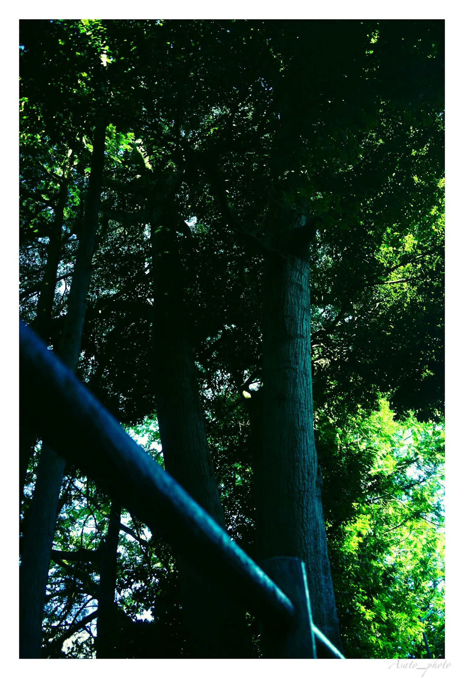 photo-ix0wgsx2ngF53qWQIzHd-image