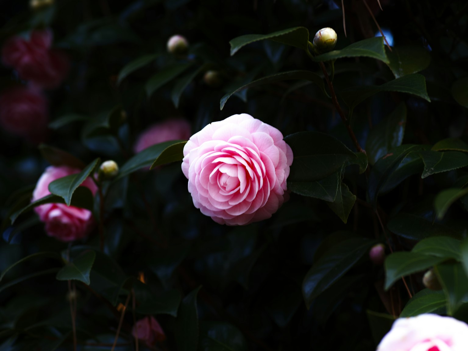 photo-ix2kdW4mxCymj9es4Uru-image