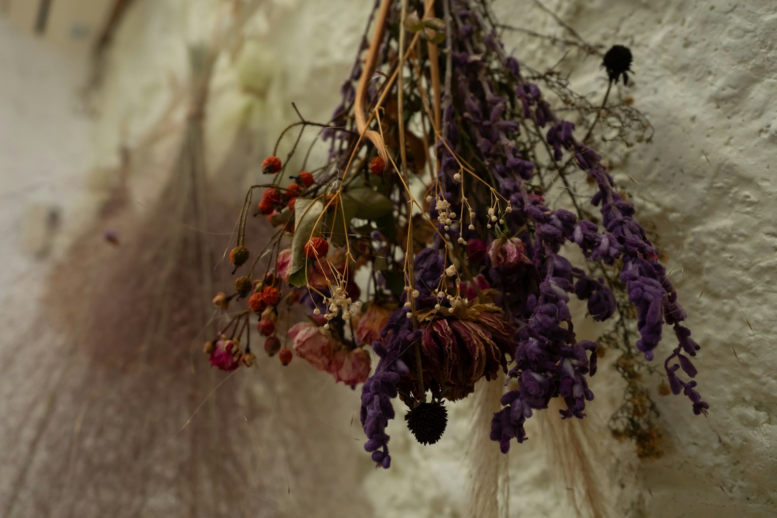 Dried flower bouquet hanging on a wall