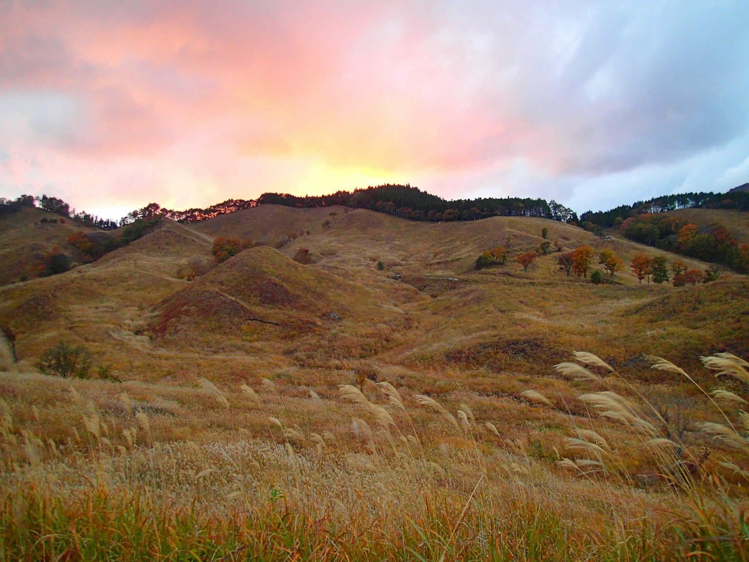 Colline ondulate e paesaggio erboso al tramonto