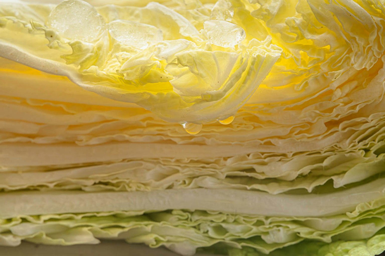 Close-up image of layered lettuce with visible textures