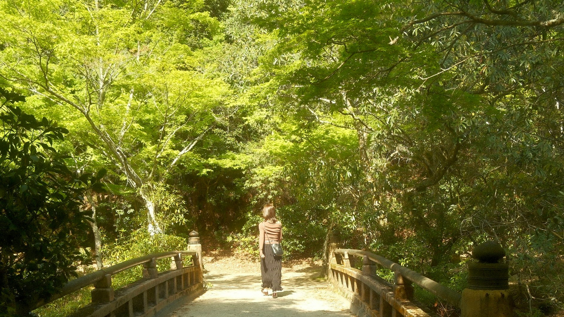 木々に囲まれた遊歩道の緑のトンネル