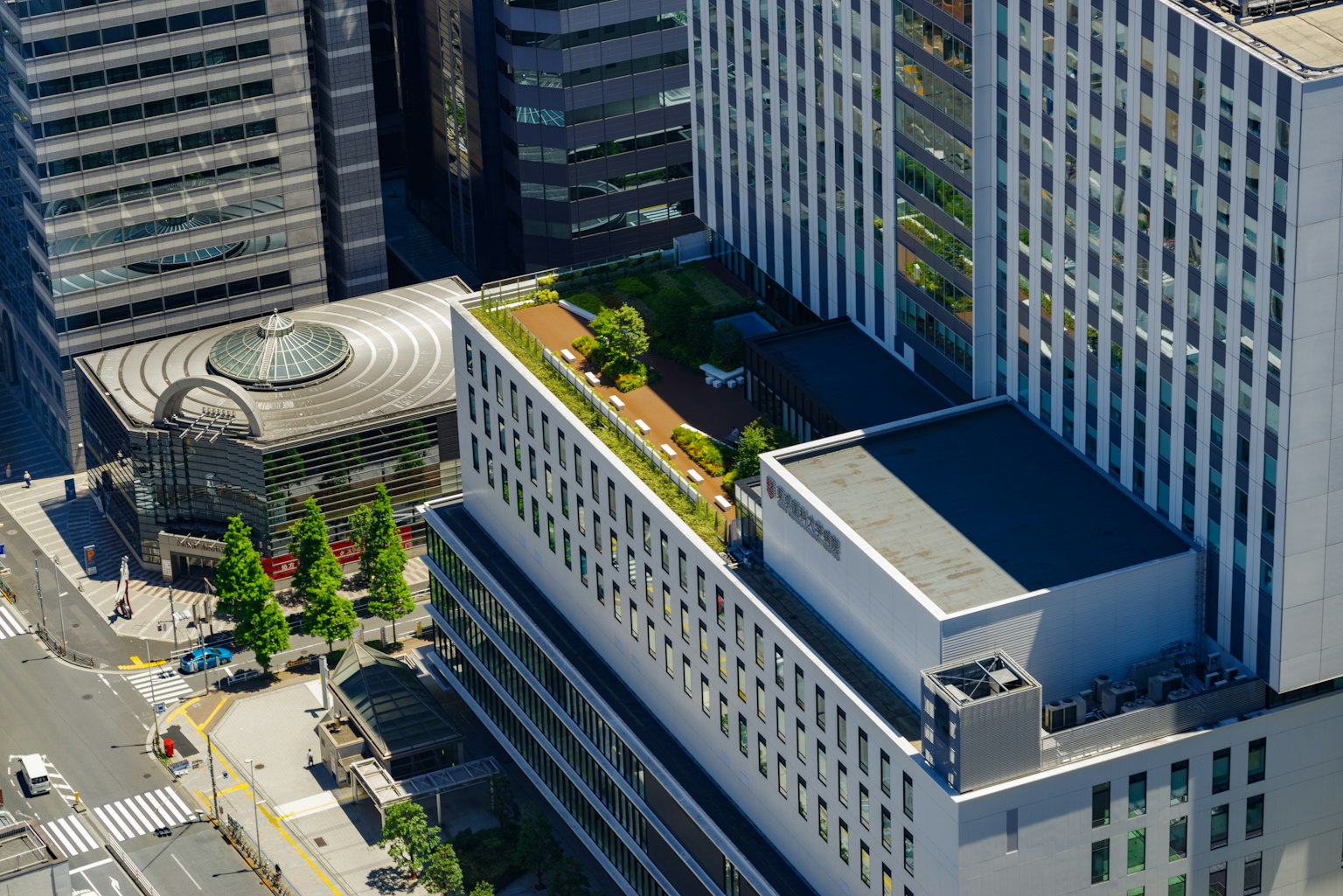 高層建築上的綠色屋頂花園與城市環境