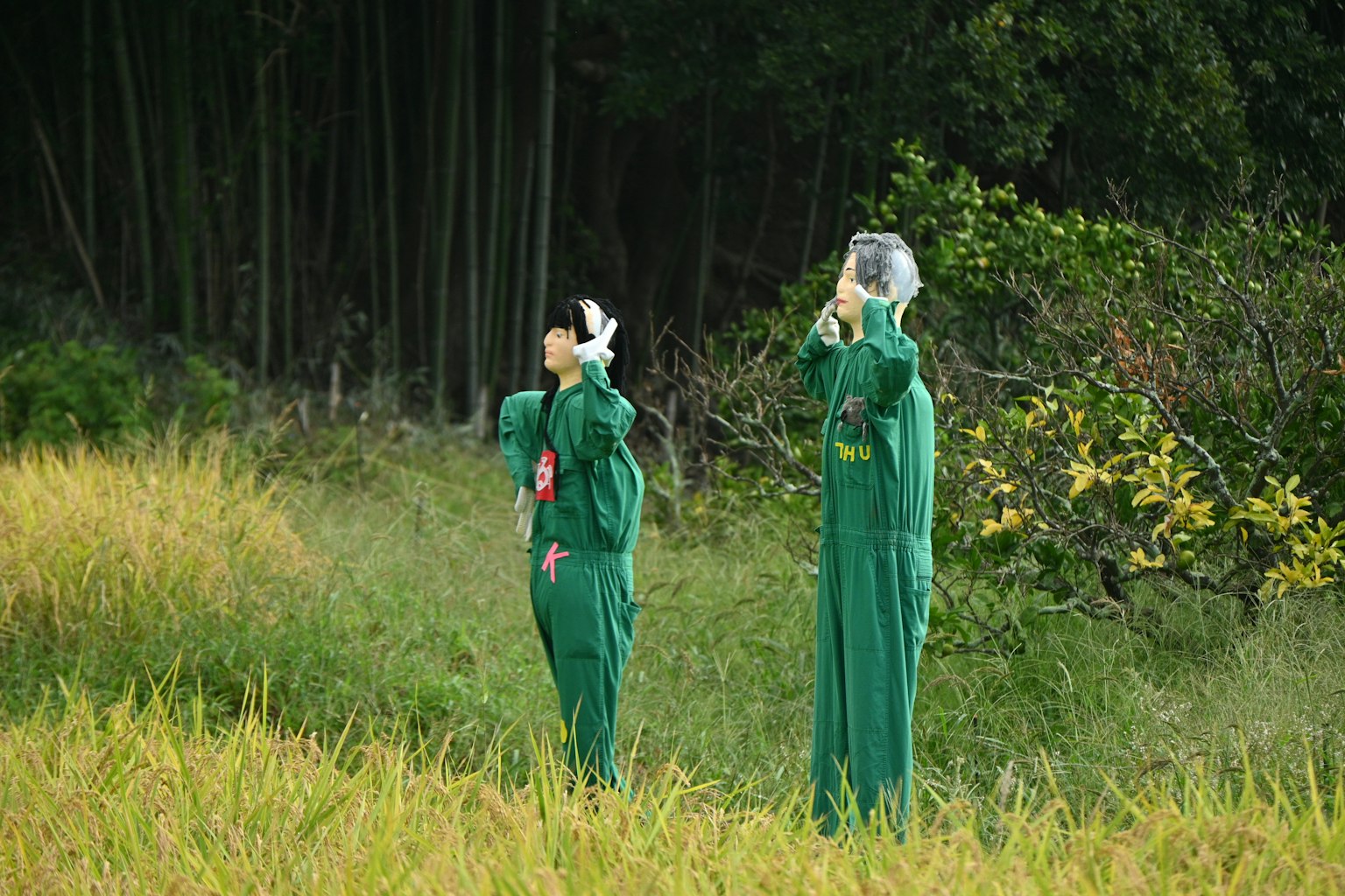 บุคคลสองคนในชุดทำงานสีเขียวยืนอยู่ในนาข้าว