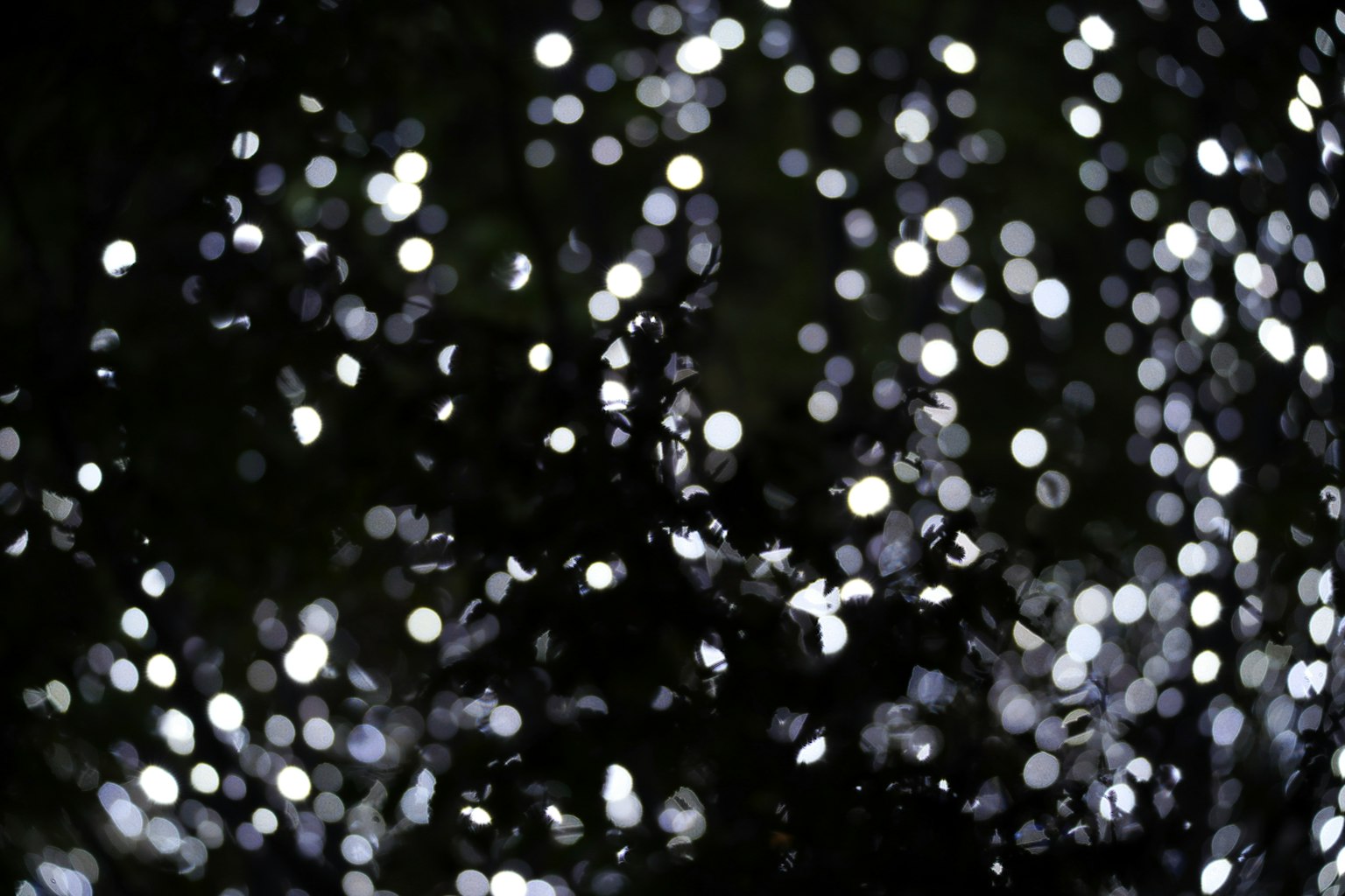 Un'immagine onirica di punti di luce sfocati sparsi su uno sfondo nero