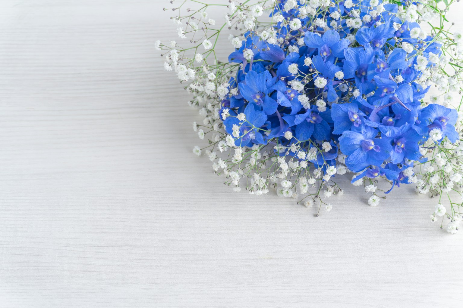 Un hermoso ramo con flores azules y aliento de bebé blanco