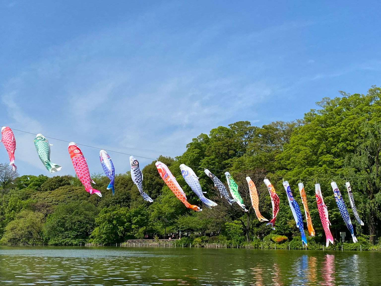 Bunte Koi-Nobori-Flaggen wehen im Wind entlang eines Flusses unter einem blauen Himmel