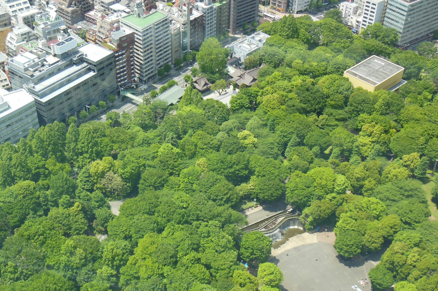 俯瞰四周建筑的郁郁葱葱公园